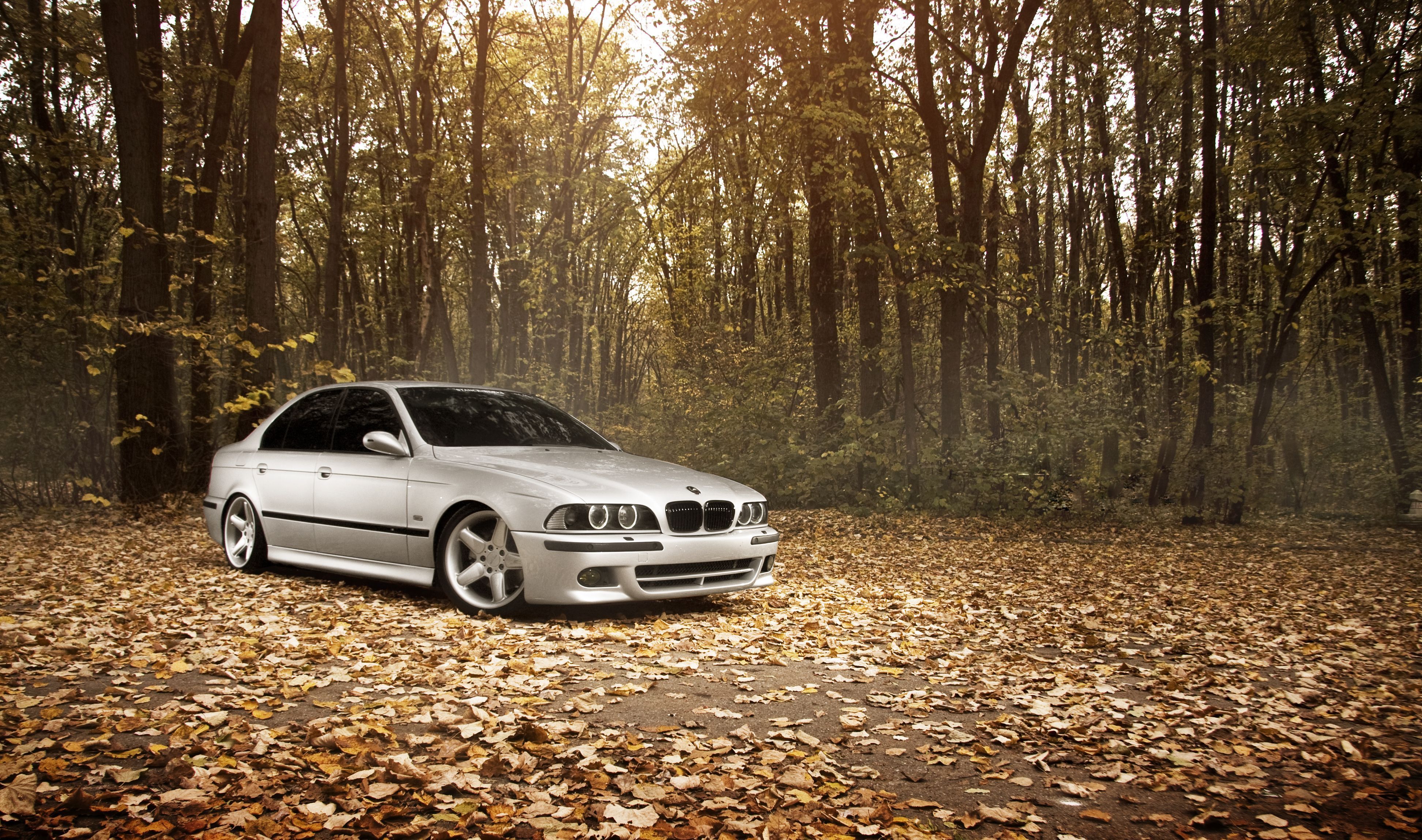 Download wallpaper bmw, m5 e stance works, fall, leaves, forest