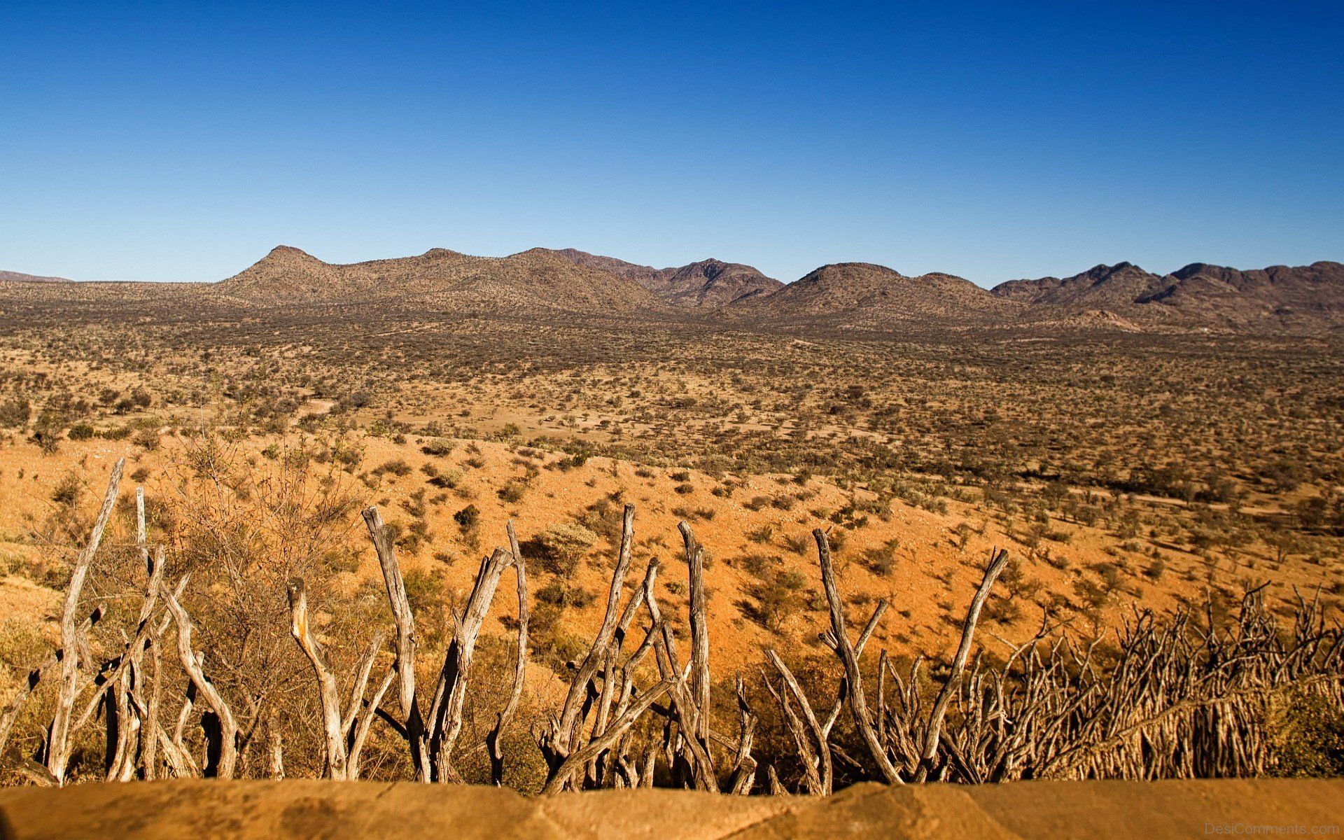 Kalahari Desert Wallpapers - Wallpaper Cave