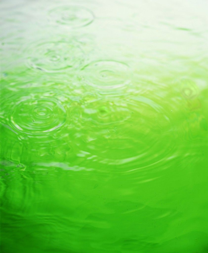 Green Water Wallpaper Background