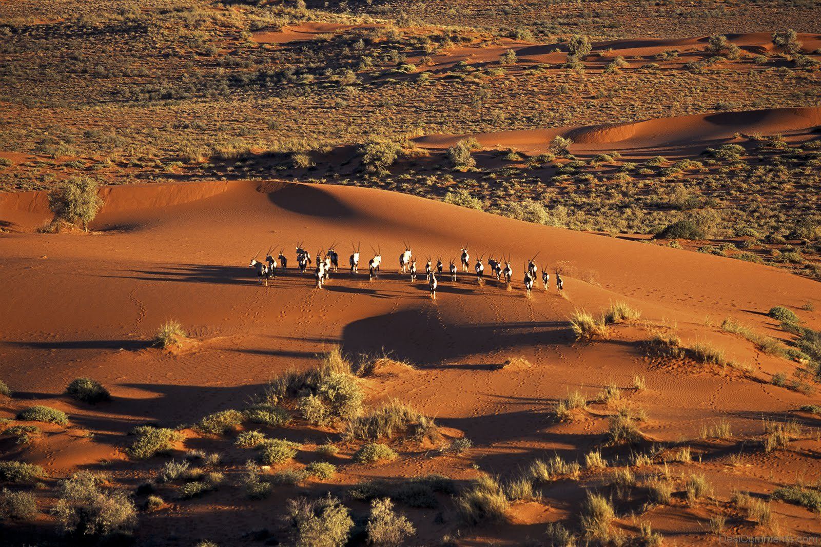 Kalahari Desert Wallpapers - Wallpaper Cave