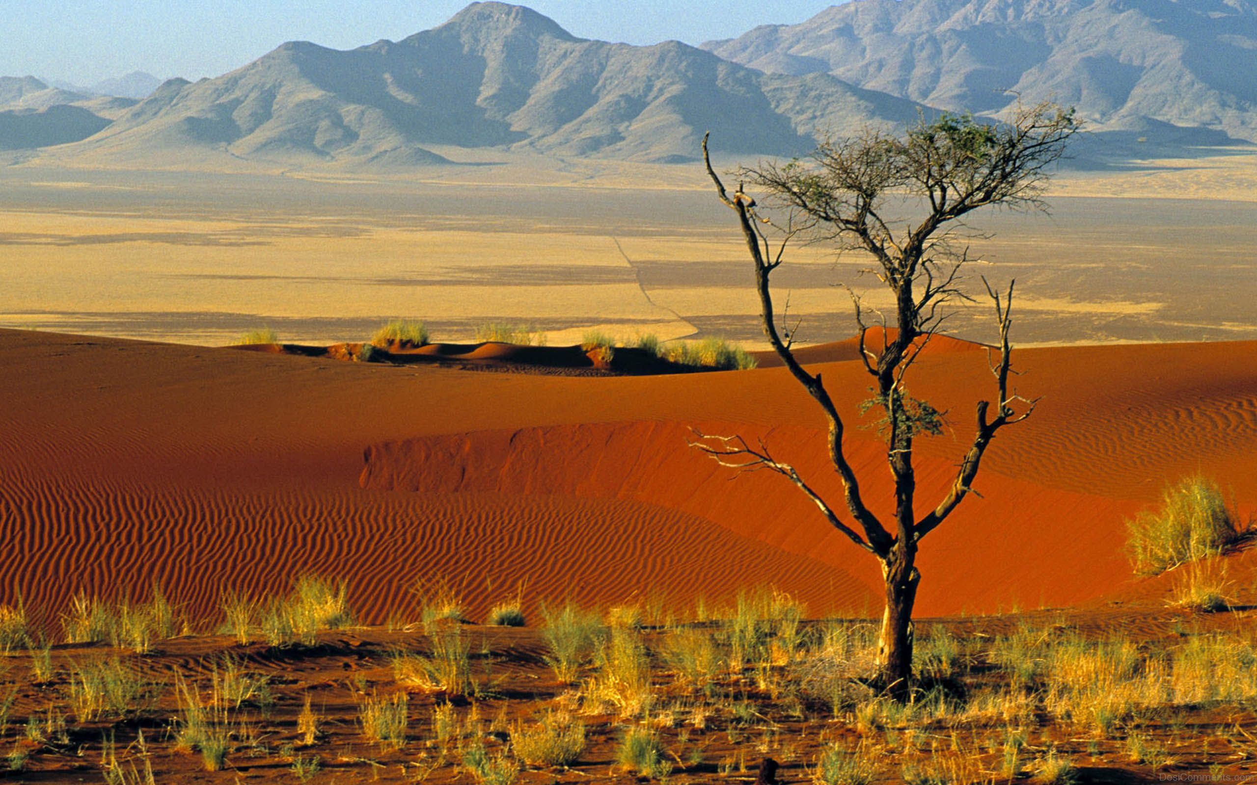 Kalahari Desert Wallpapers - Wallpaper Cave