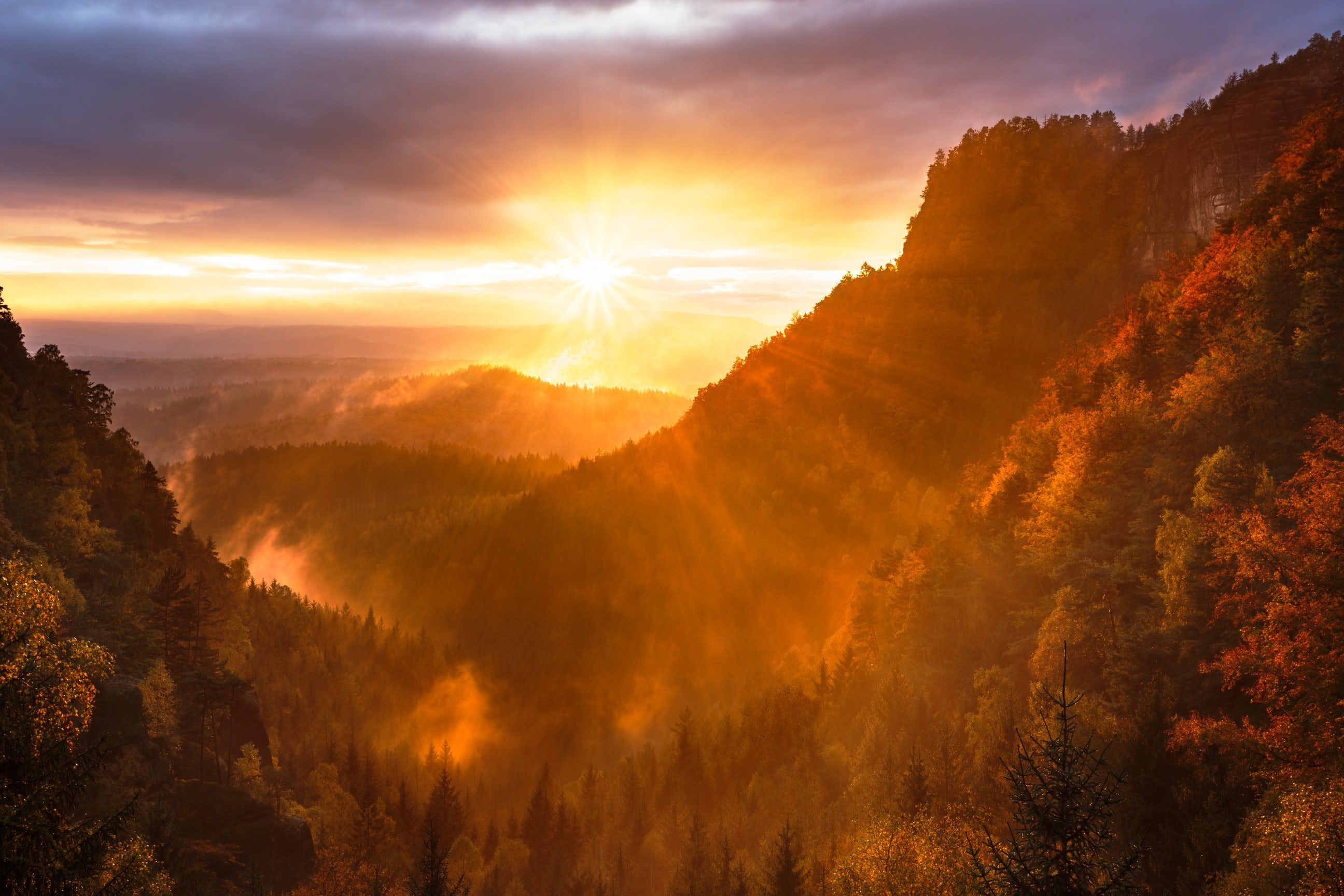 Streaks of sunlight at sunset through a forest valley at Hřensko, Czech Republic. Landscape, Photo, Nature