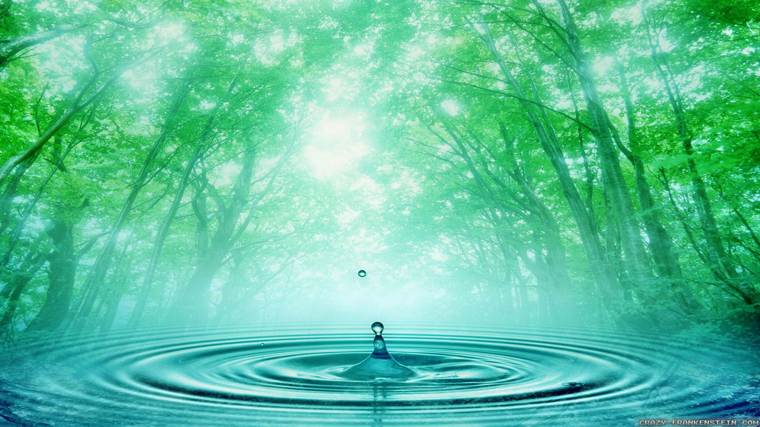 Spring Water wallpaper