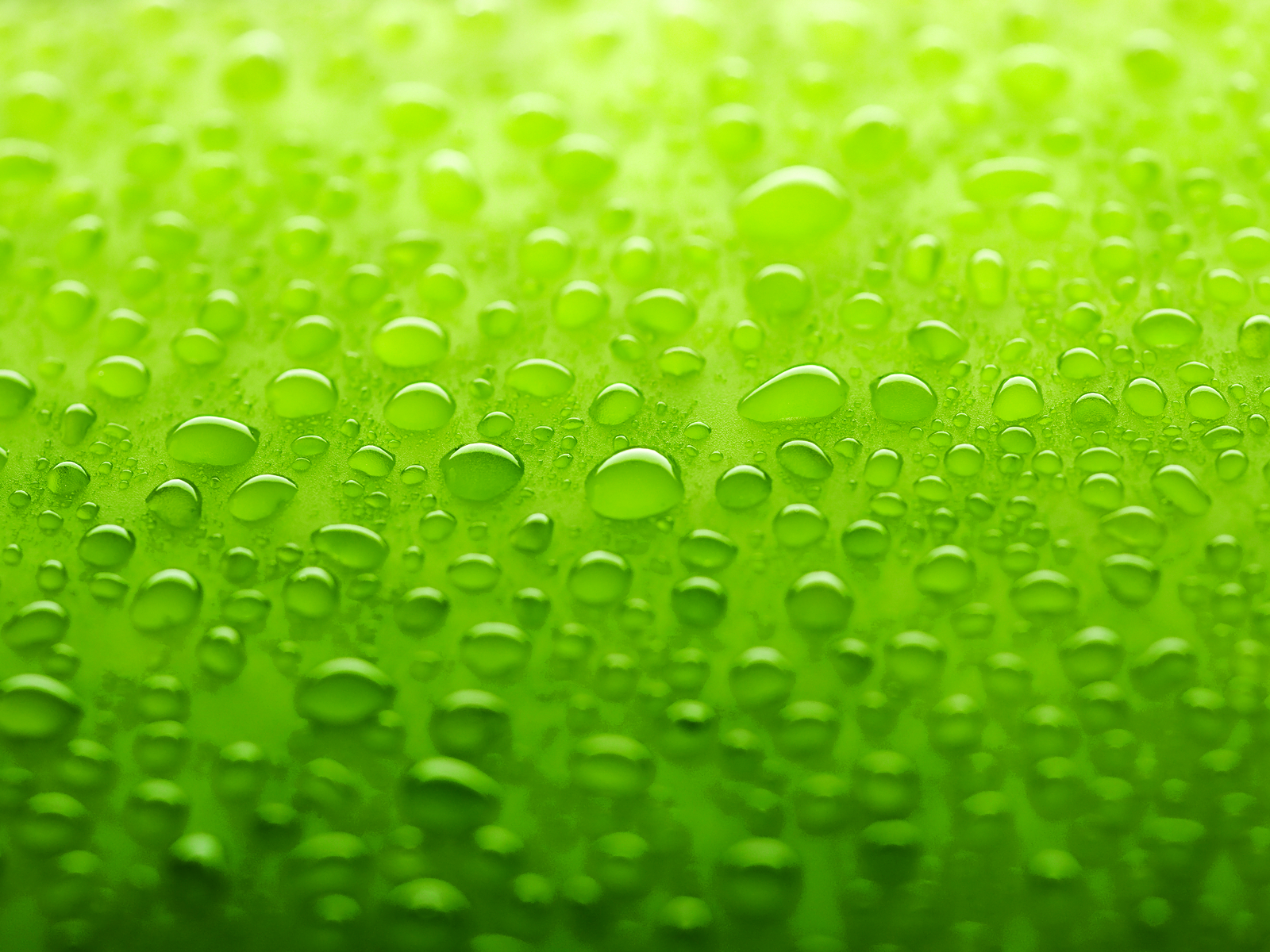 green water drops background