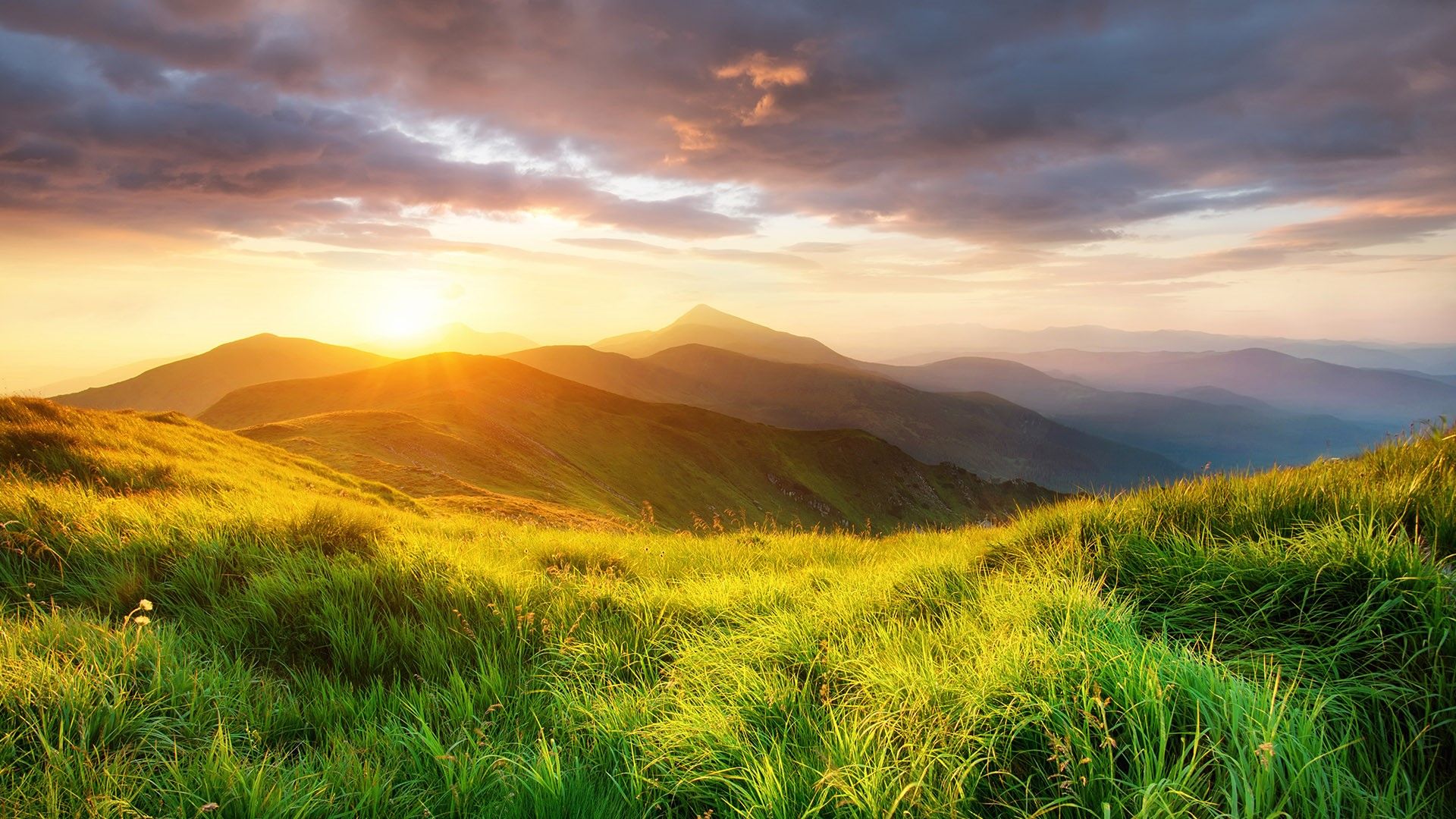 Mountain valley landscape during sunrise at summer time, Carpathian mountains, Ukraine. Windows 10 Spotlight Image