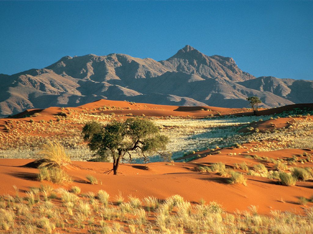 Kalahari Desert Wallpapers - Wallpaper Cave