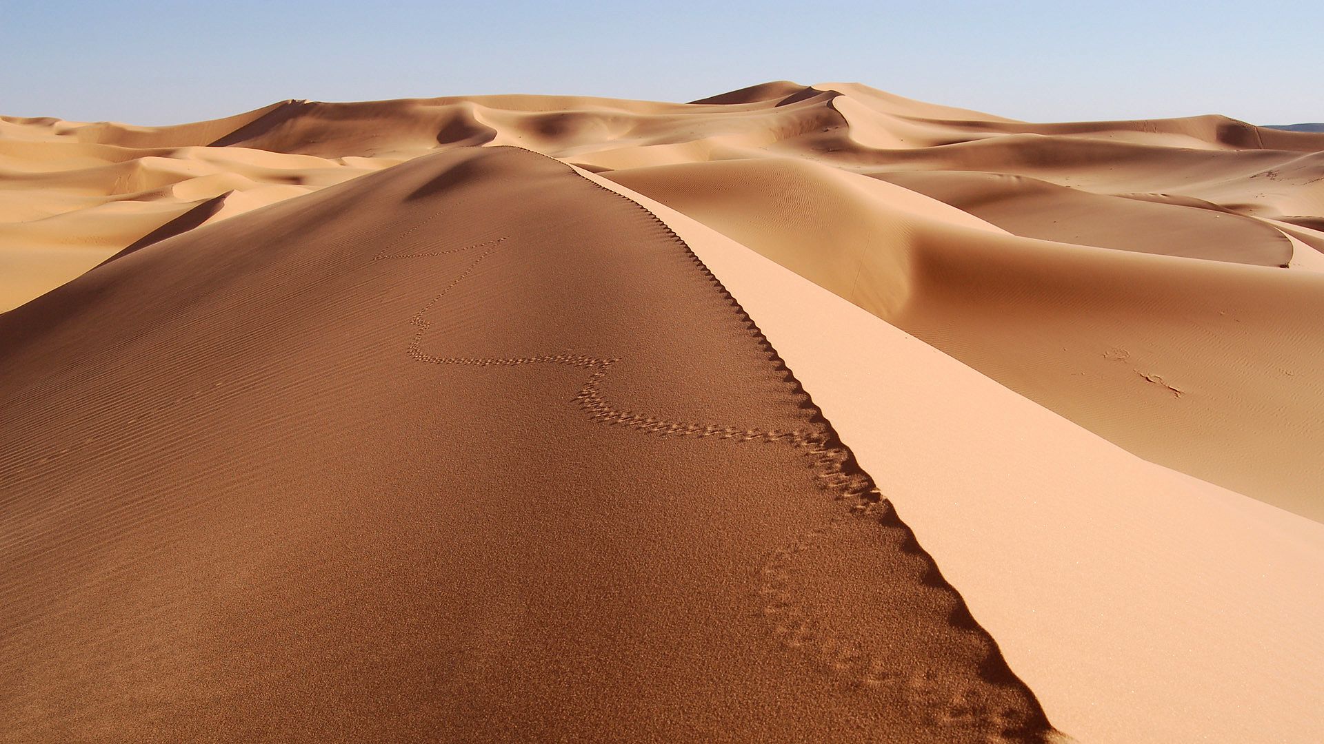 Kalahari Desert Wallpapers - Wallpaper Cave