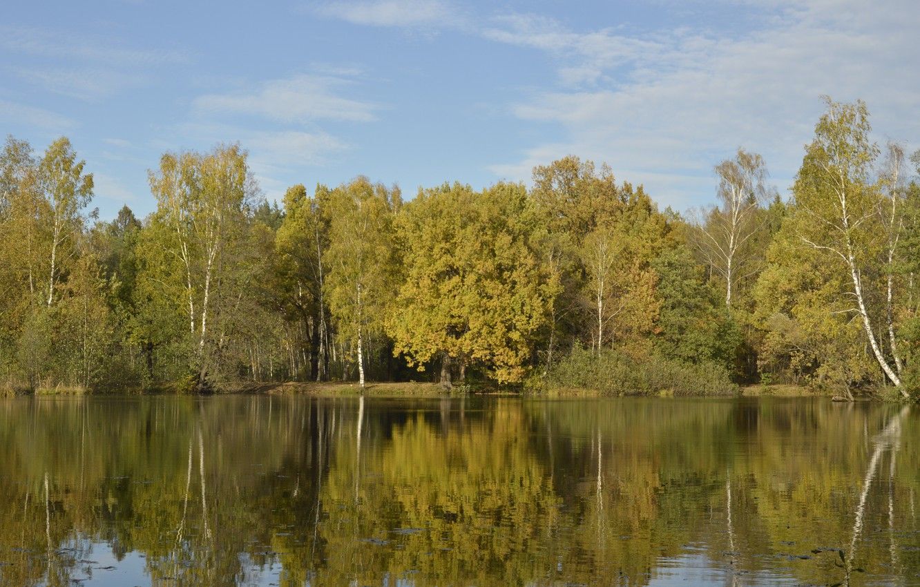 Wallpaper Nature, Reflection, Autumn, Lake, Trees, Russia, Nature, Fall, Russia, Autumn, Lake, Trees, September, September image for desktop, section пейзажи