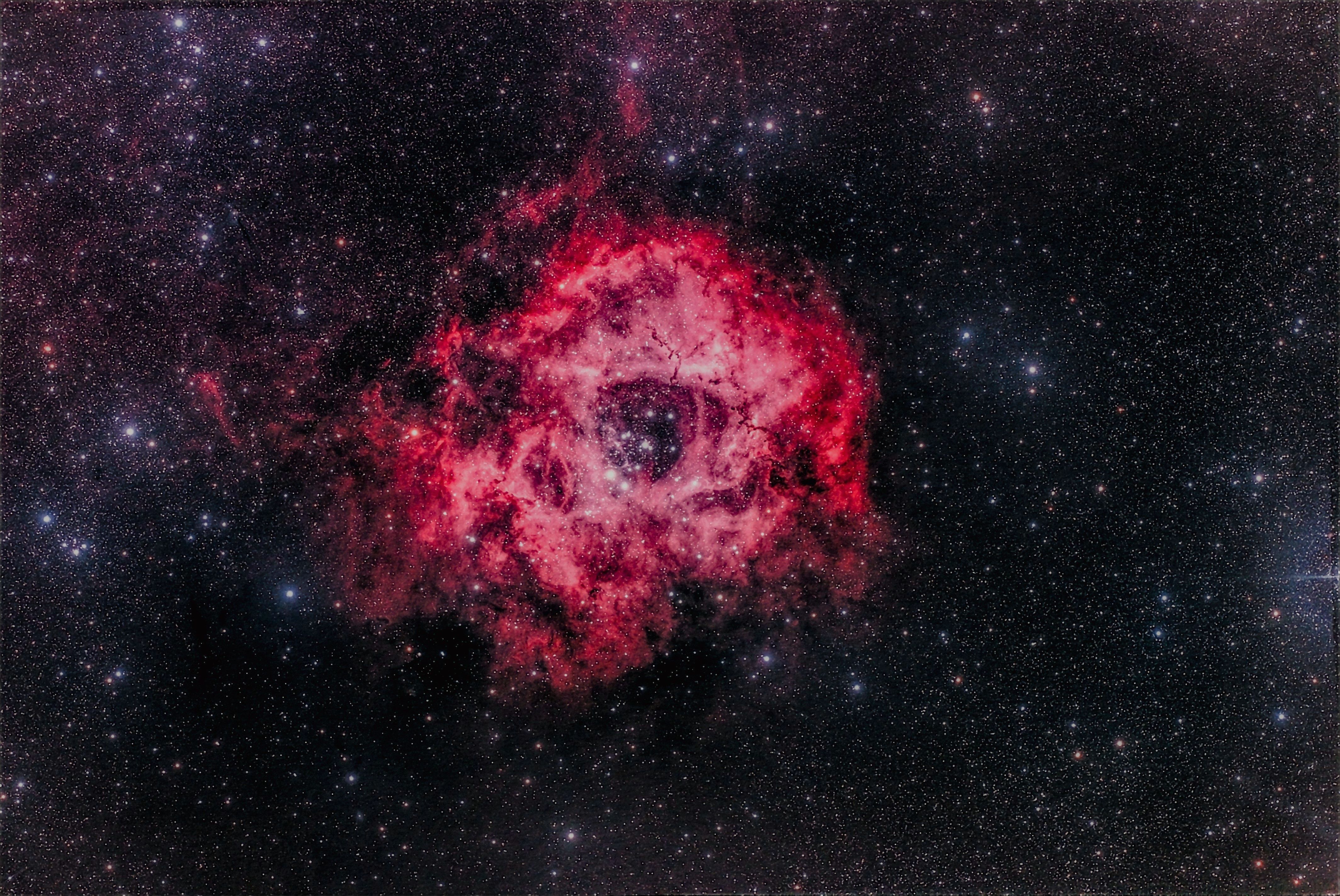 Rose Nebula Wallpaper