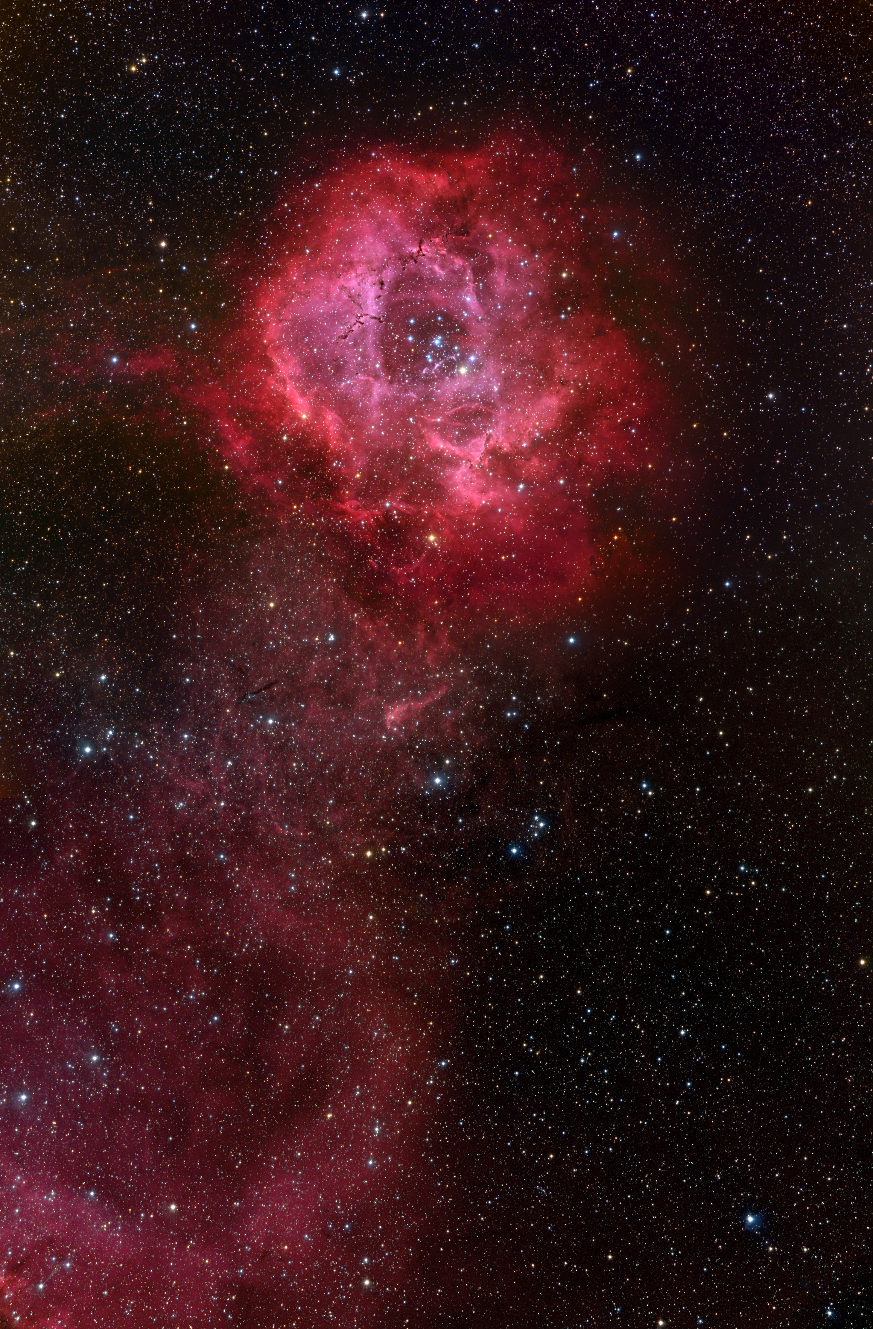 APOD: 2008 February 14 Stem Rosette. Nebula, Rosette nebula, Astronomy