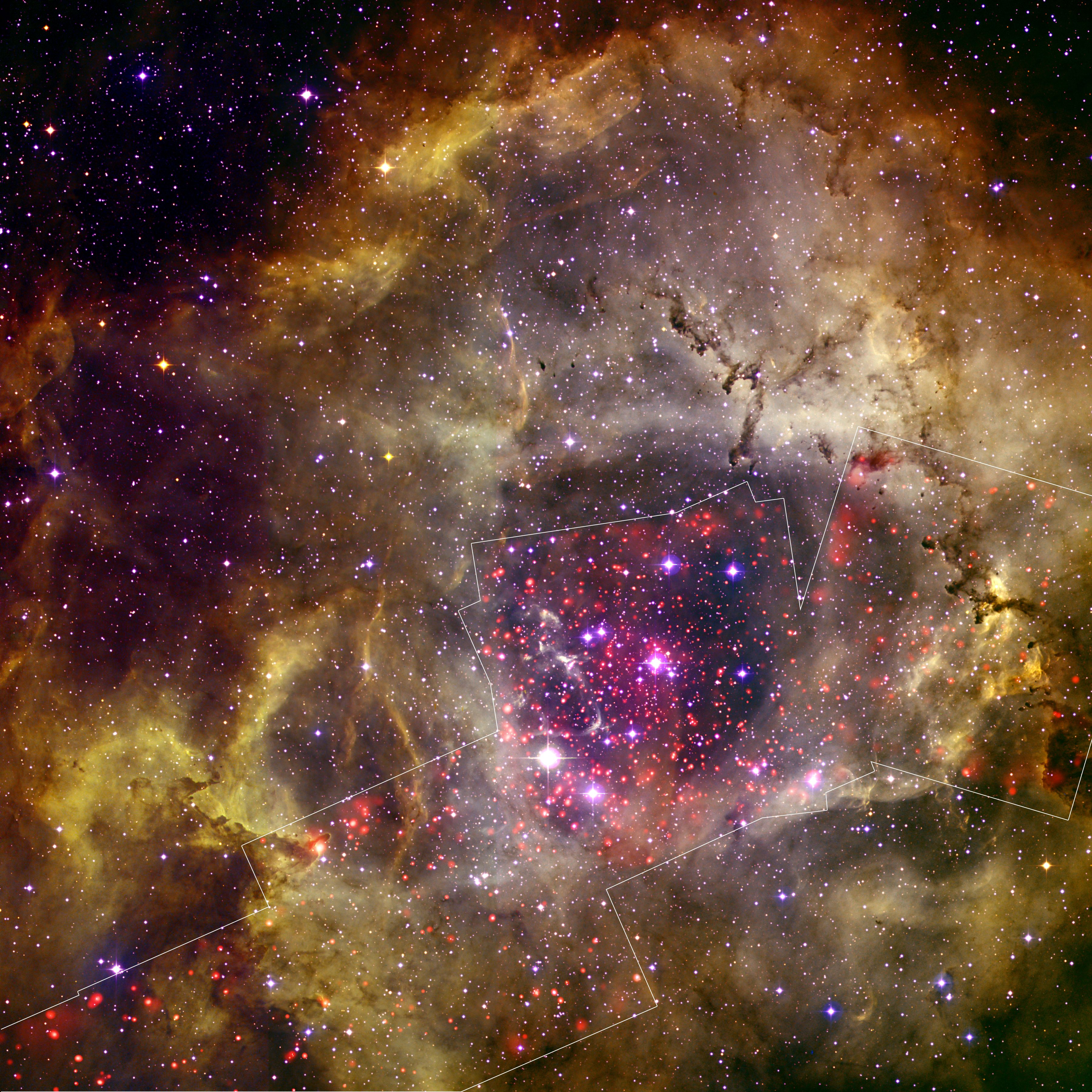 Chandra - Photo Album - Rosette Nebula - September 08, 2010