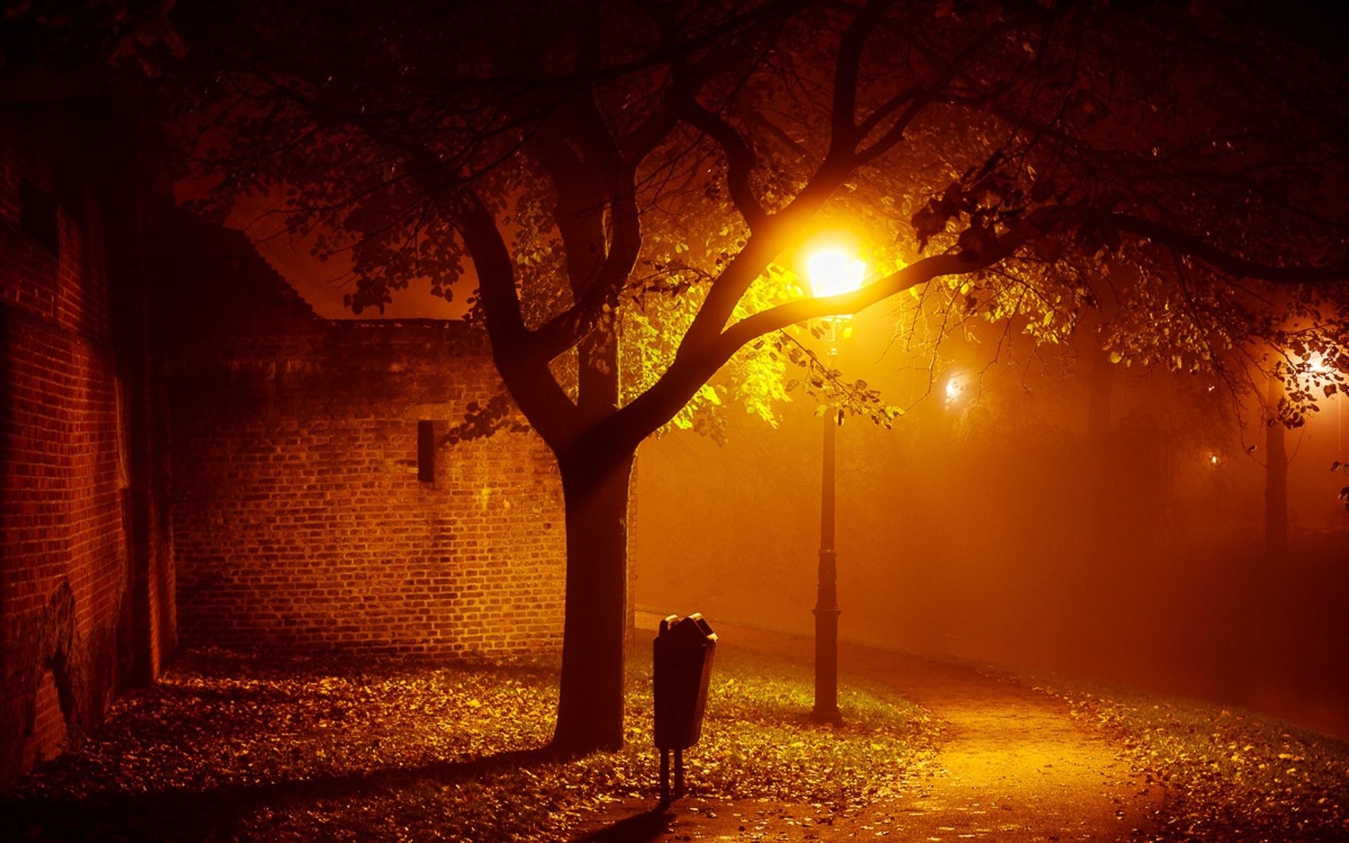 landscapes, Night, Lights, Mood, Autumn, Fall, Seasonal, Fog, Mist, Places, Houses, Buildings, Architecture, Trees, Lamps, Lamp posts, Photography Wallpaper HD / Desktop and Mobile Background