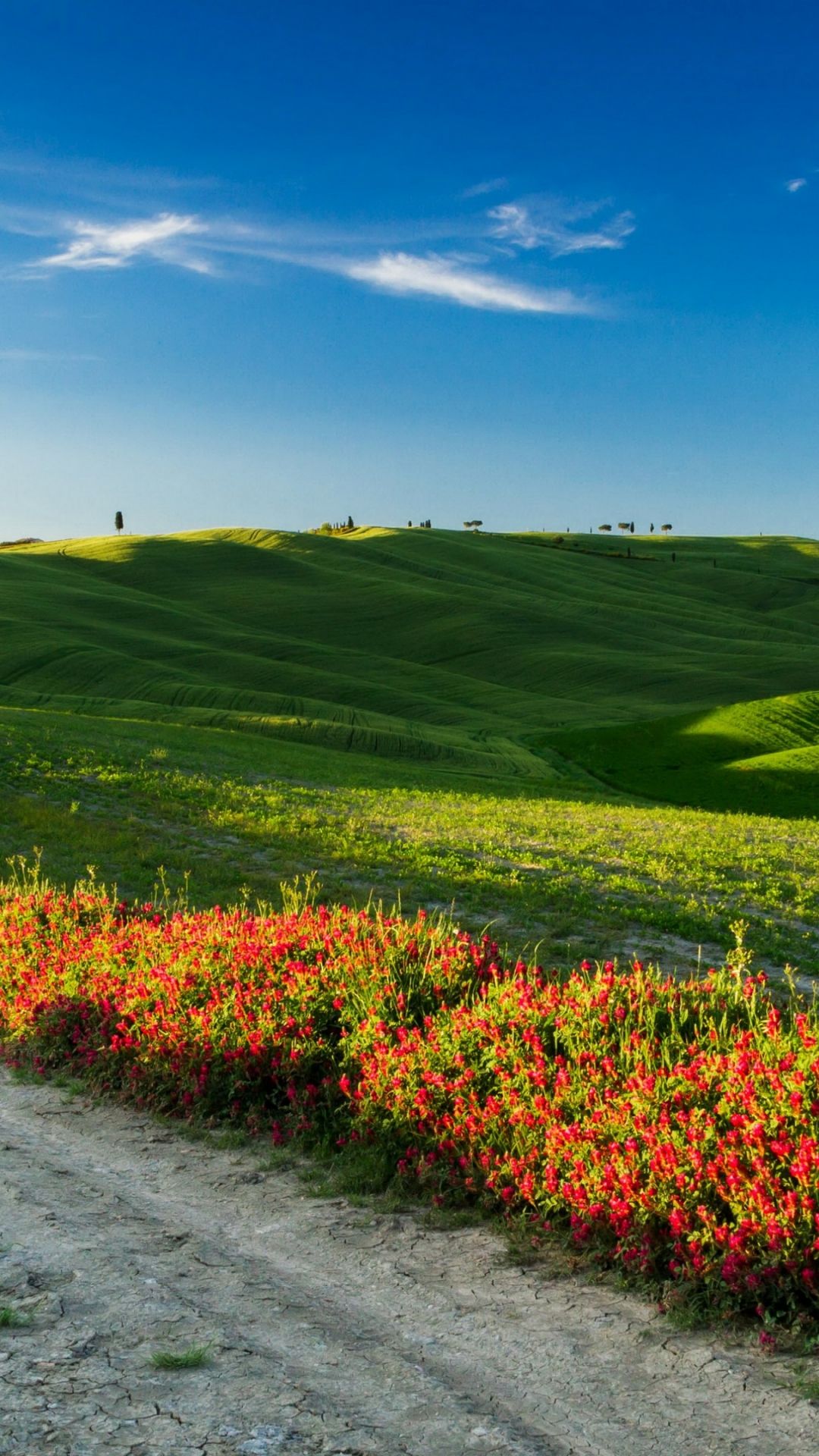 Download Tuscany, 4k, HD wallpaper, Italy, Meadows, road, wildflowers, sky Samsung Galaxy S4 wallpaper 1080x1920