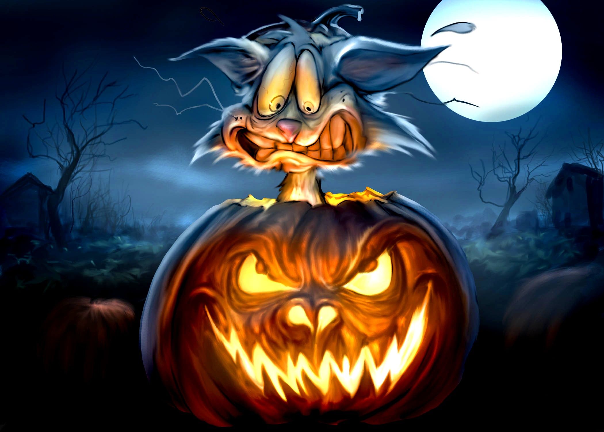 Free download Halloween Wallpapers Cat In Pumpkin 4k Backgrounds Wallpapers [2100x1500] for your Desktop, Mobile & Tablet