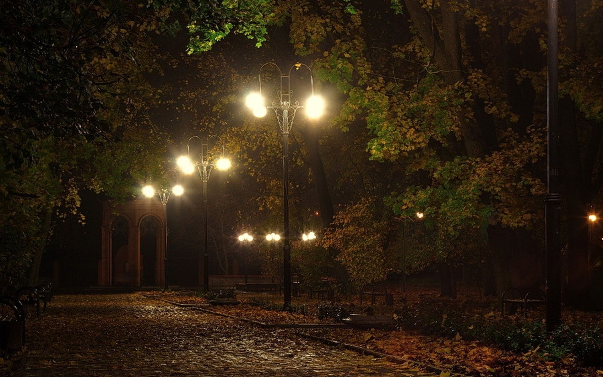 Landscapes Lamps Lamp Posts Benches Lights Night Pathways Roads Lanes Autumn Fall Seasons Trees Leaves Mood Wallpaperx1200