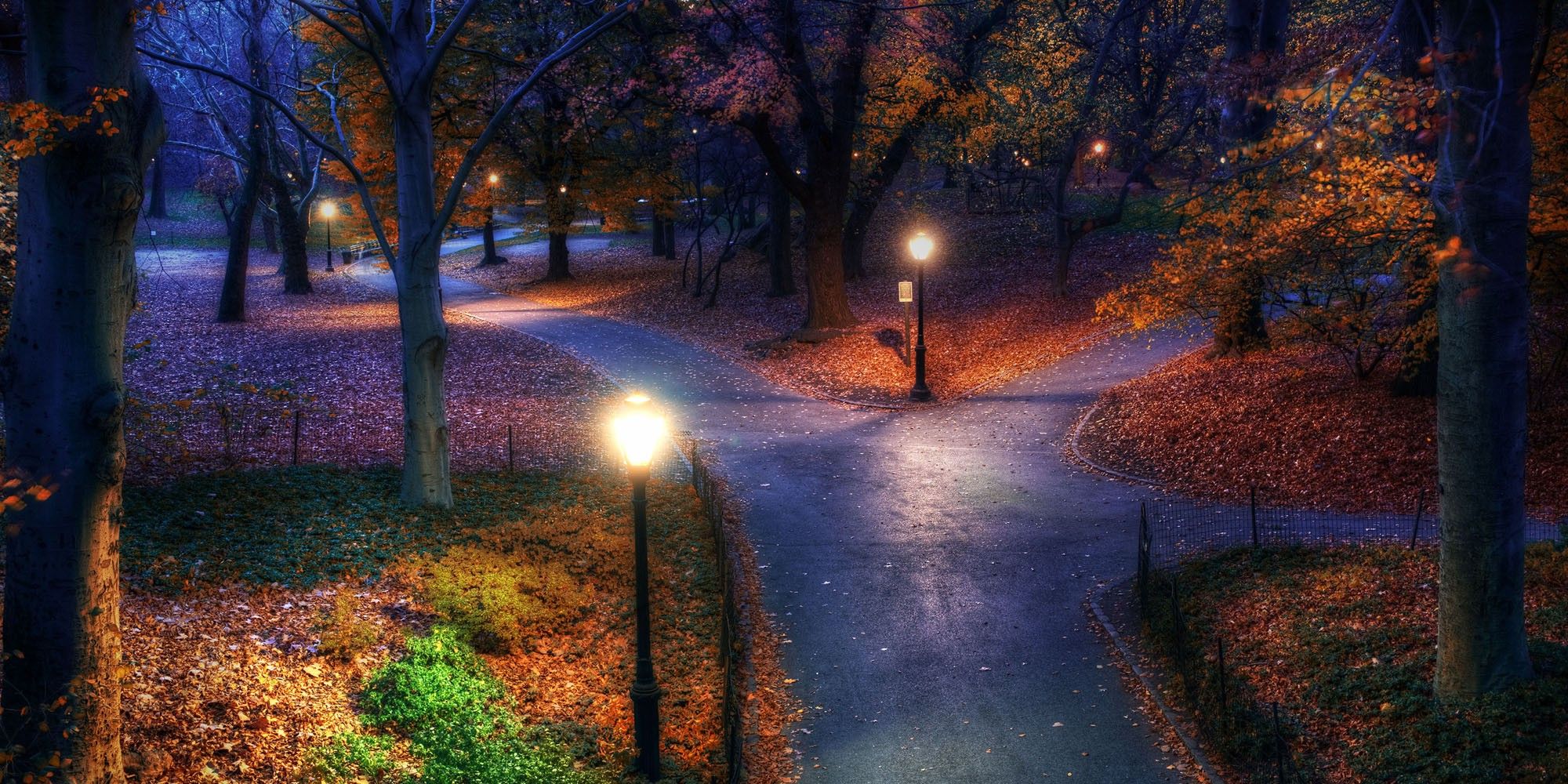 Central Park Autumn Night HD Wallpaper