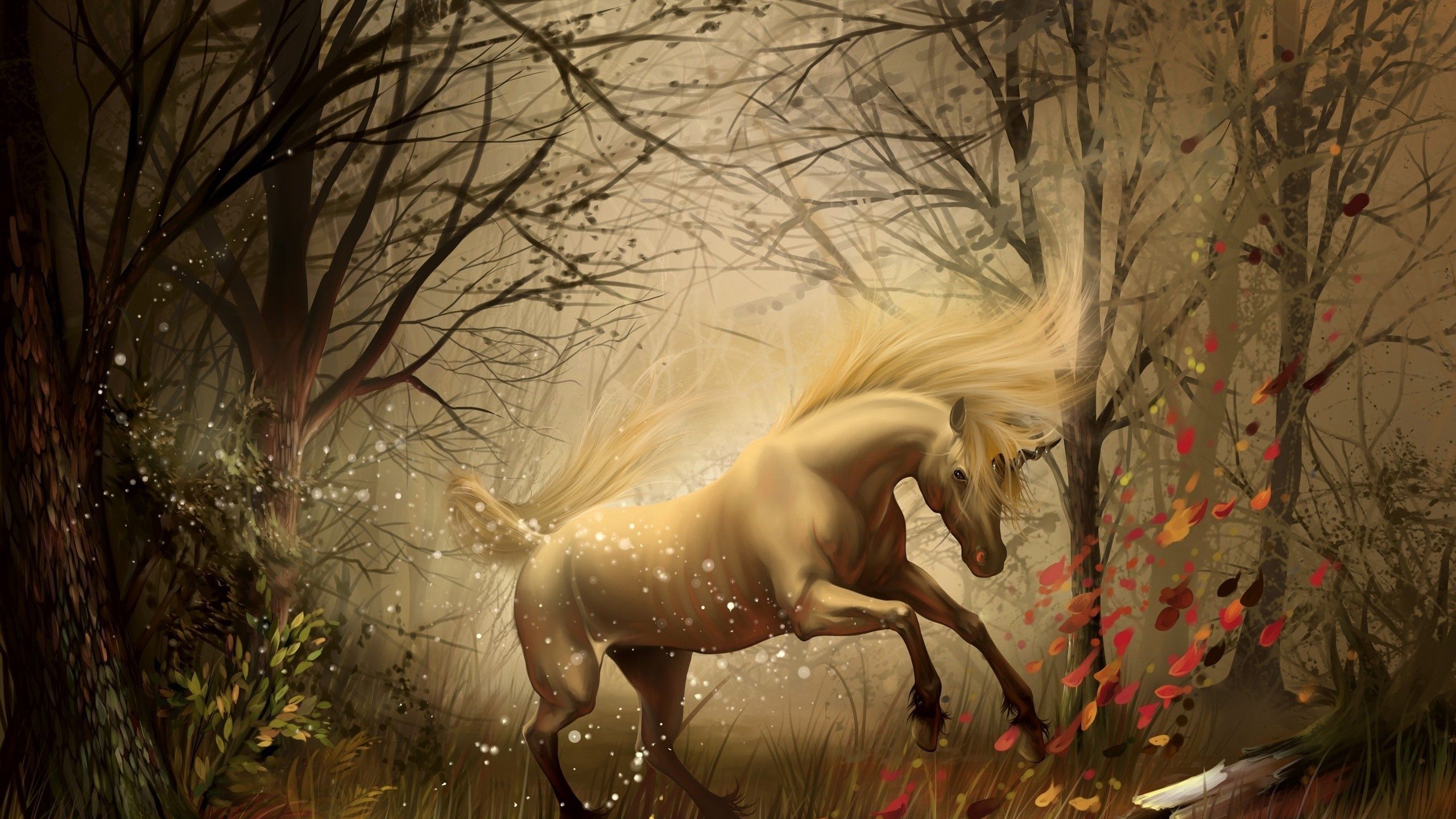 Unicorn In Dreams 1440P Resolution HD 4k Wallpaper, Image, Background, Photo and Picture