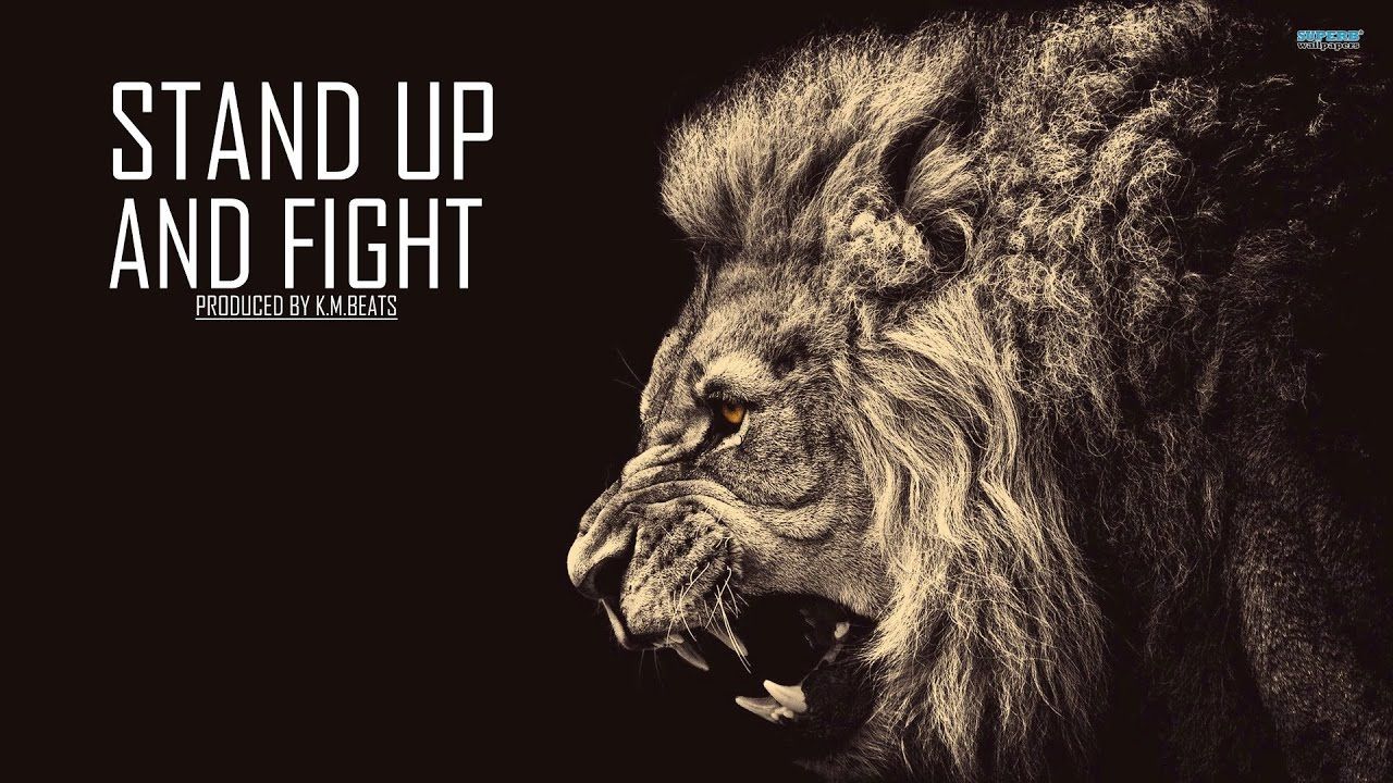 Economy Is Collapsing Up And Fight. Lion HD wallpaper, Lion wallpaper, Fire lion