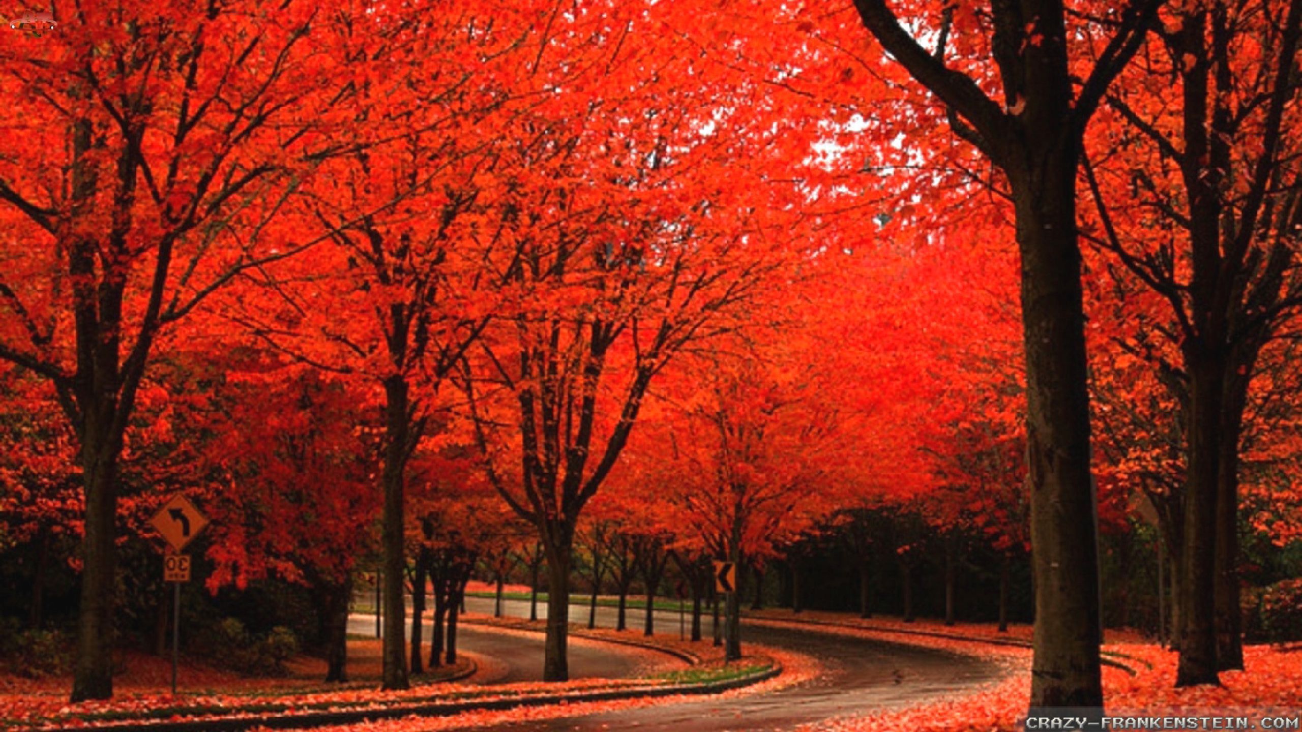 Free download 35 Pretty Autumn Wallpaper Download [ 2560x1440] for your Desktop, Mobile & Tablet. Explore Beautiful Autumn Wallpaper. Beautiful Fall Scenery Wallpaper