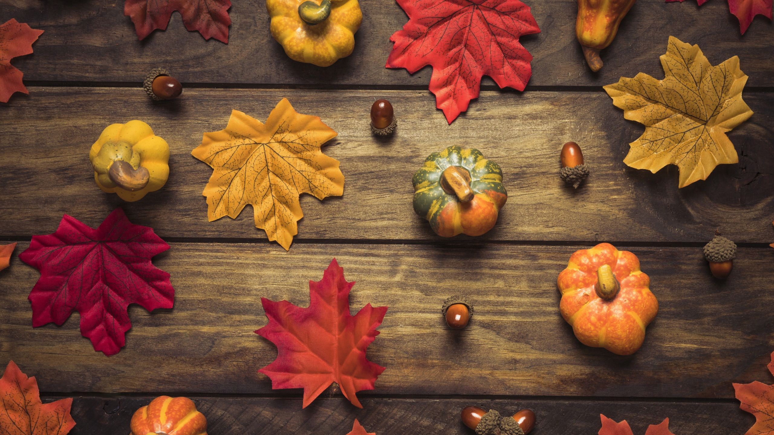 Desktop Wallpaper Foliage Autumn Nature Pumpkin 2560x1440