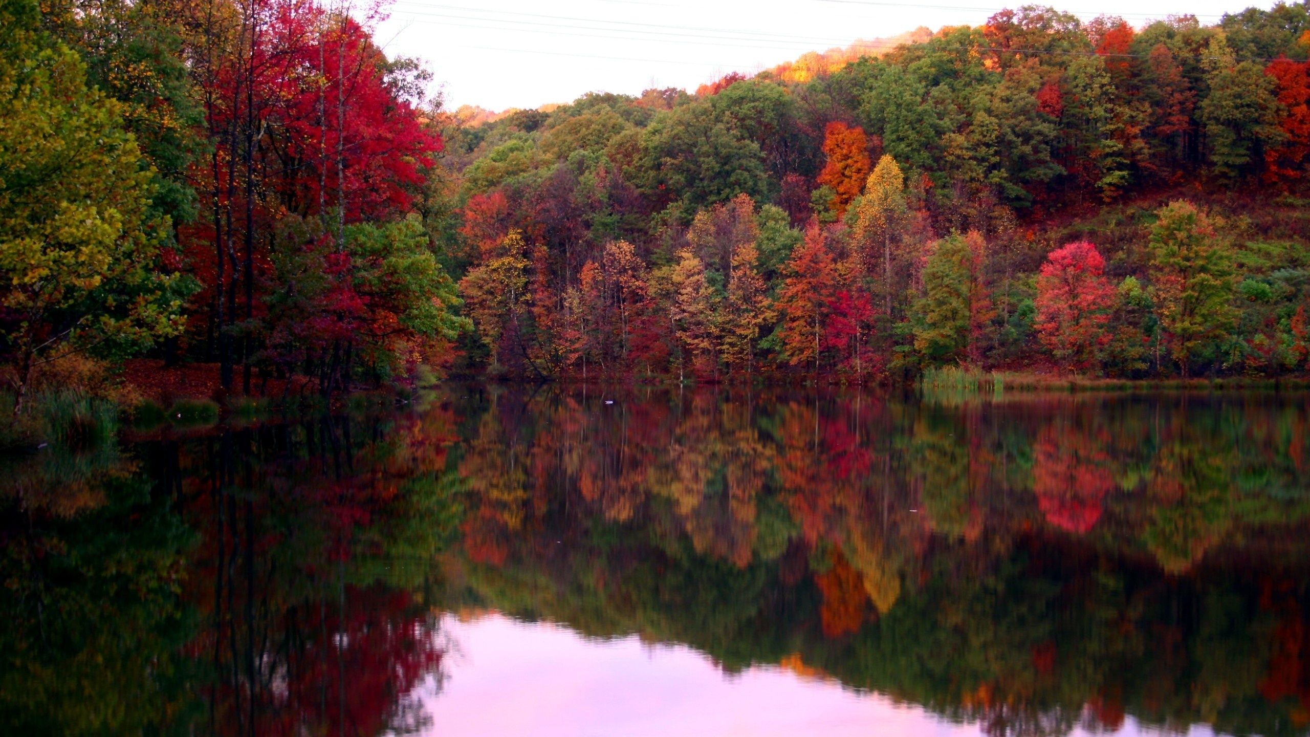 Autumn Trees Lake Reflection Wallpaper