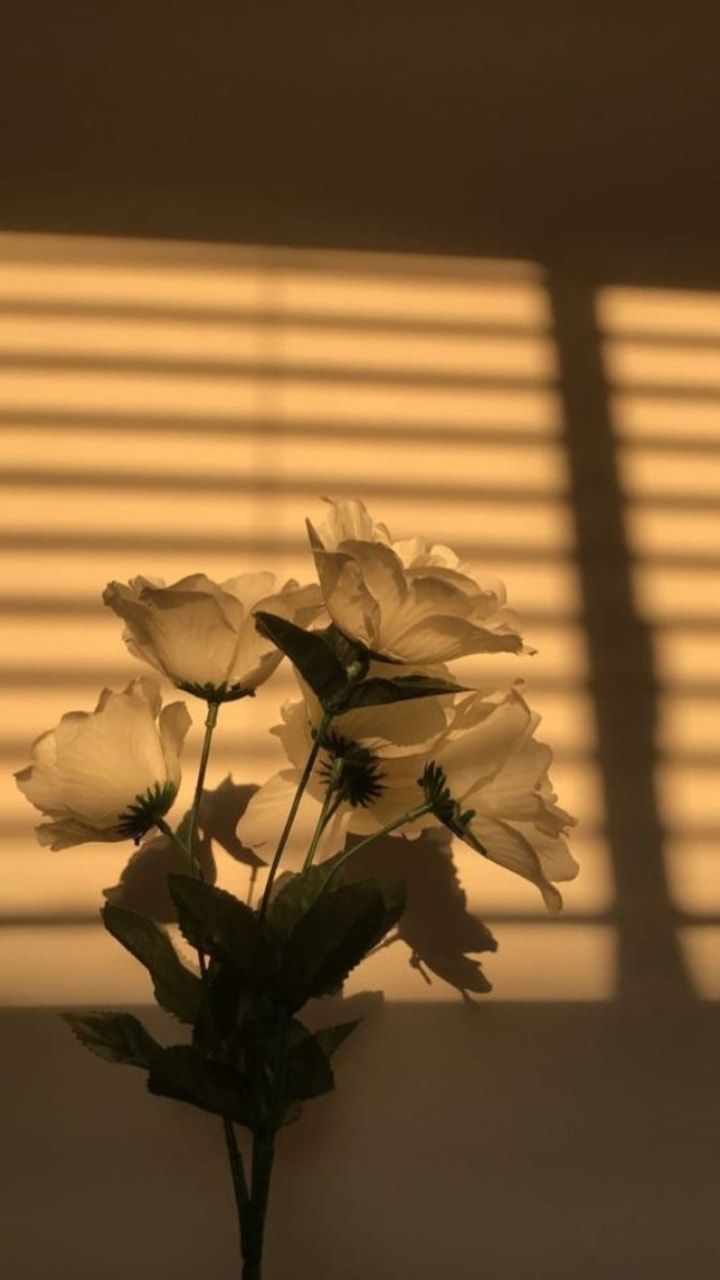 Image about white in Wallpaper, Fondos, Background, Themes