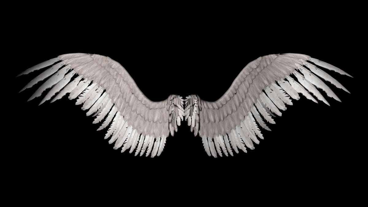 Lucifer Wings Wallpaper Free Lucifer Wings Background