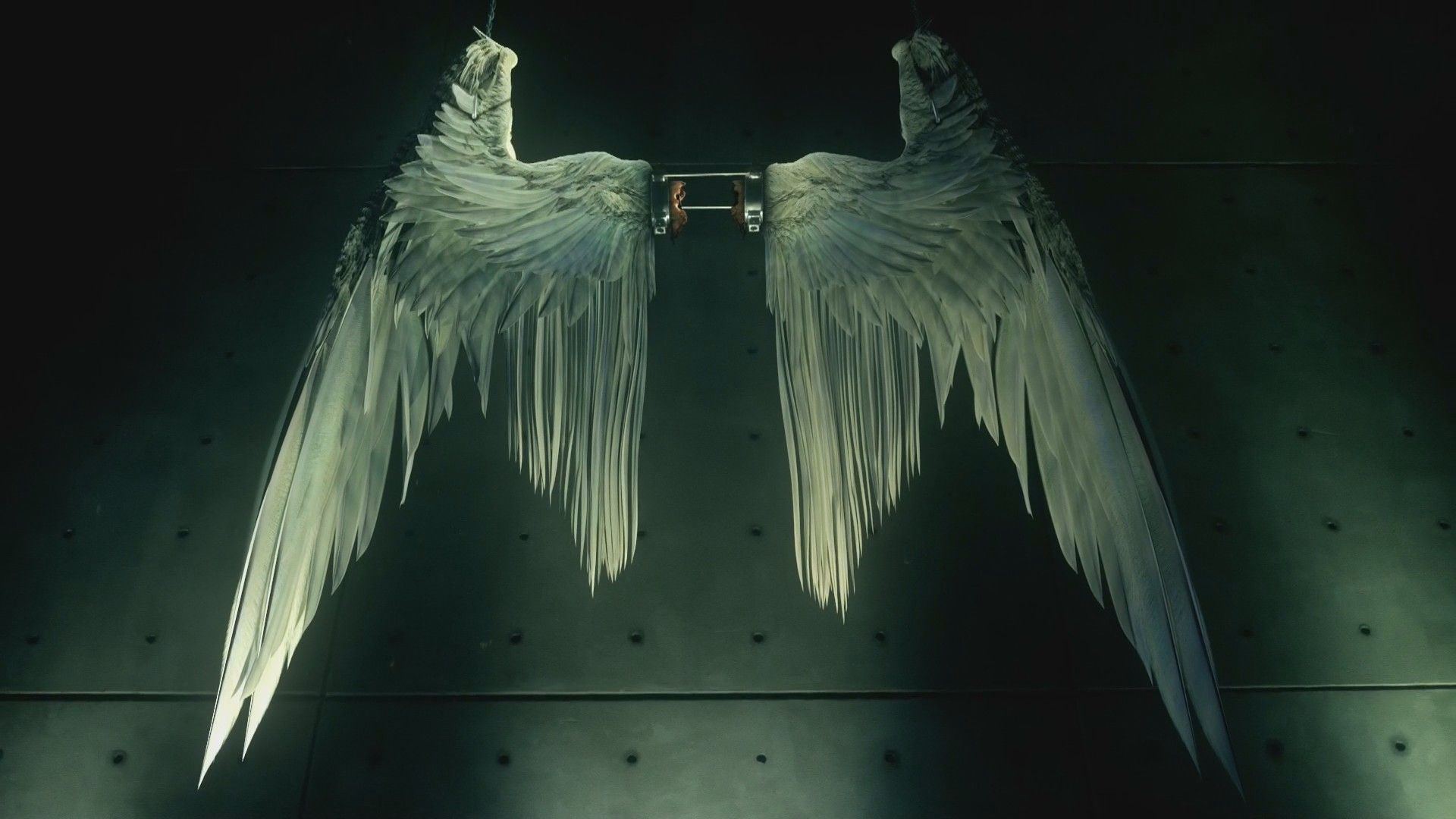 Lucifer's wings