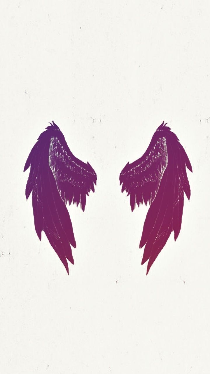 Wings wallpaper discovered