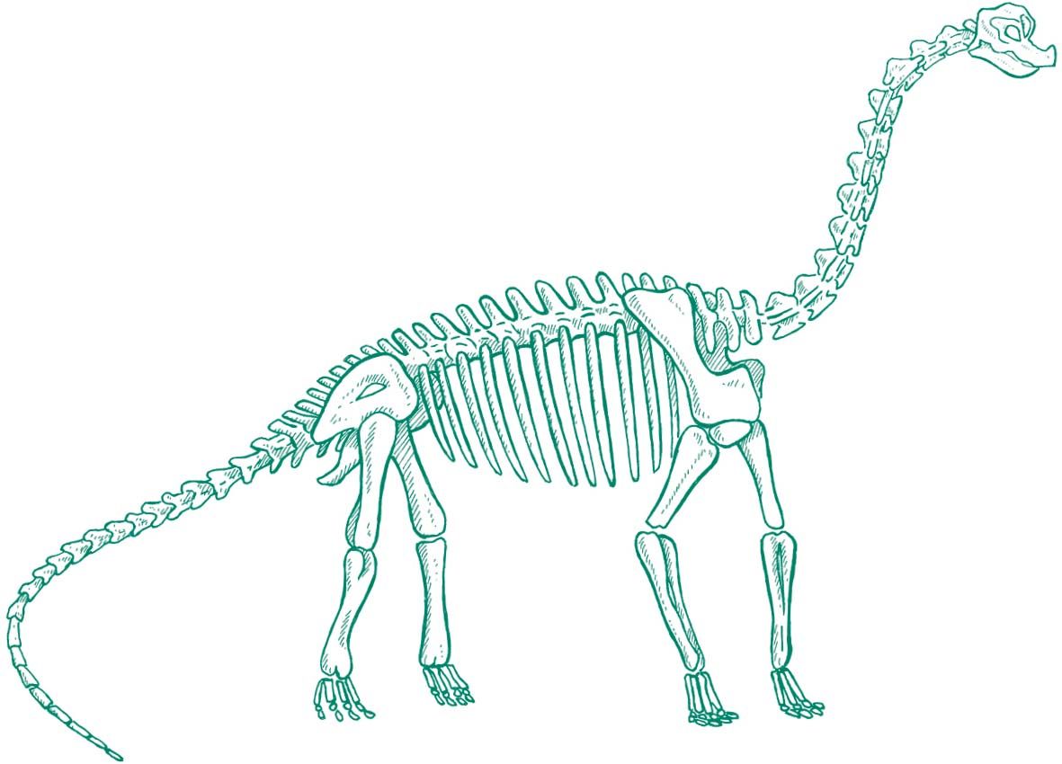 Free download Dinosaur Picture For Kids Sima Dinosaur World [1181x850] for your Desktop, Mobile & Tablet. Explore Kids Dinosaur Wallpaper. Dino Wallpaper, Cute Dinosaur Wallpaper, HD Animal Wallpaper