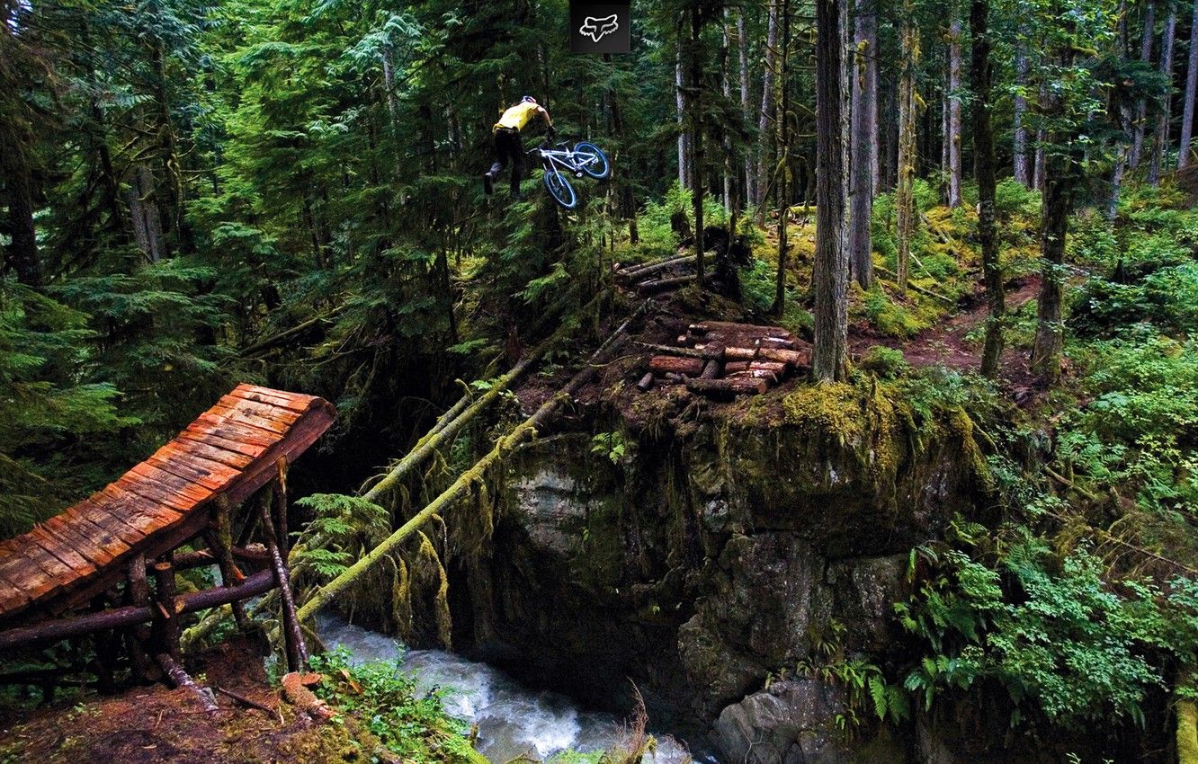 Wallpaper forest, flight, river, freeride, freeride, jump, tailwhip, tailwhip, cam mccaul image for desktop, section спорт