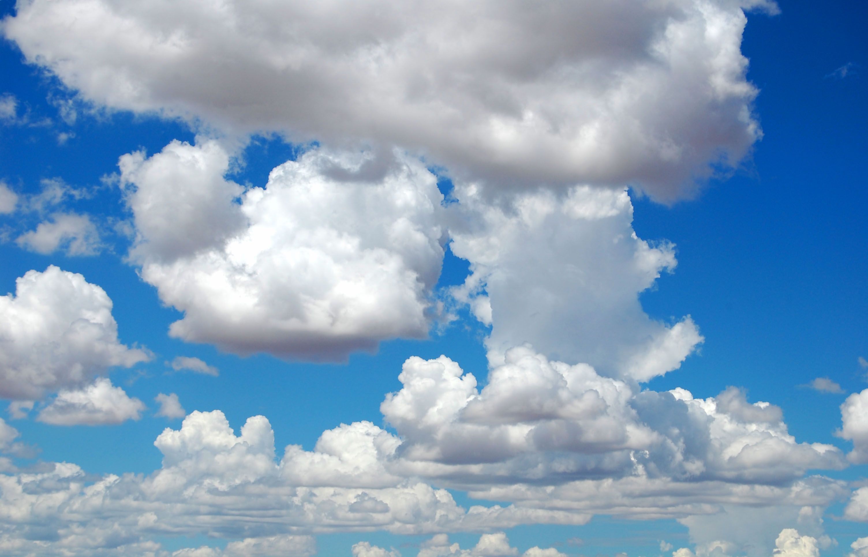 Inner Changes Psychotherapy and Counselling Social Anxiety Scale (LSAS) Social Anxiety Disorder Test