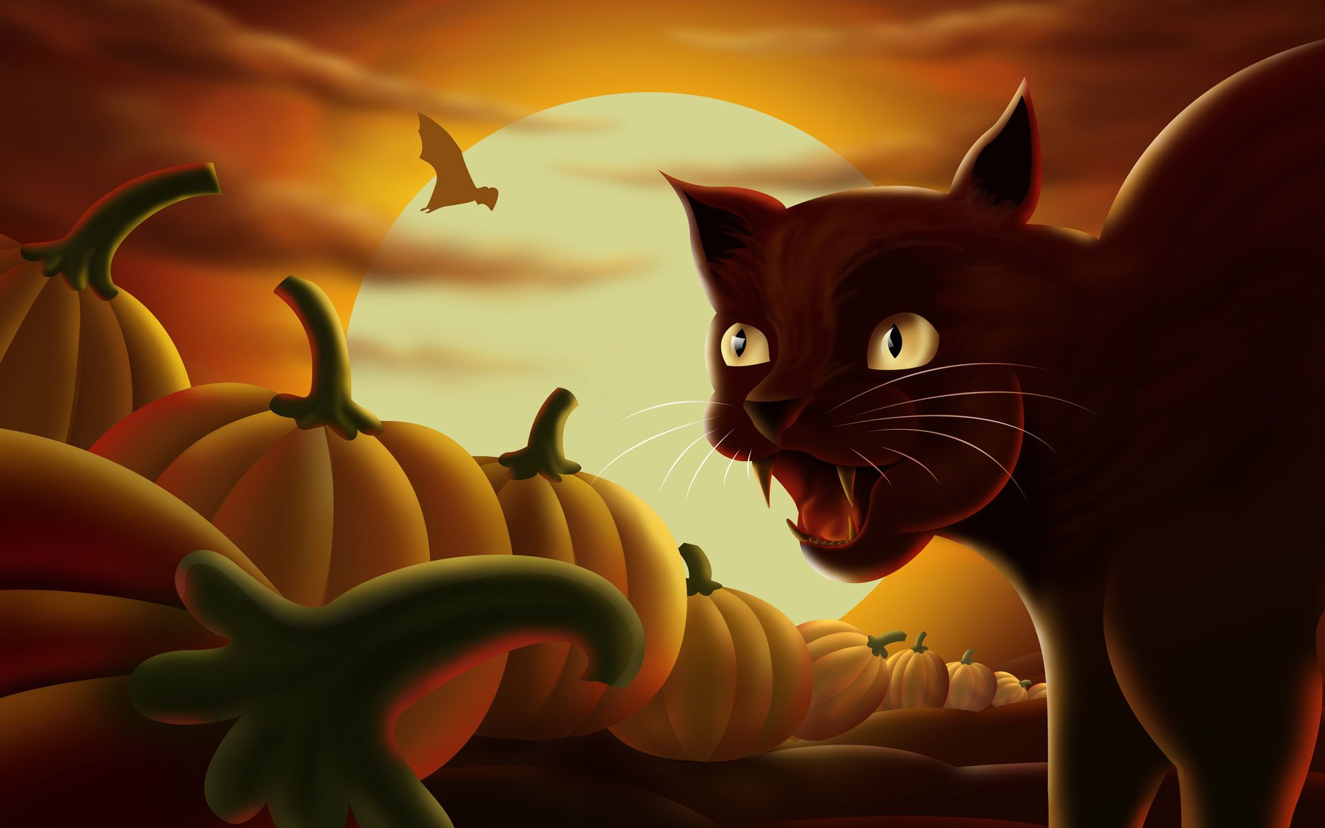 Black cat and lots of pumpkins