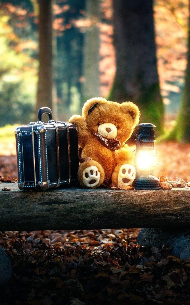Cute Teddy Phone Wallpapers Wallpaper Cave