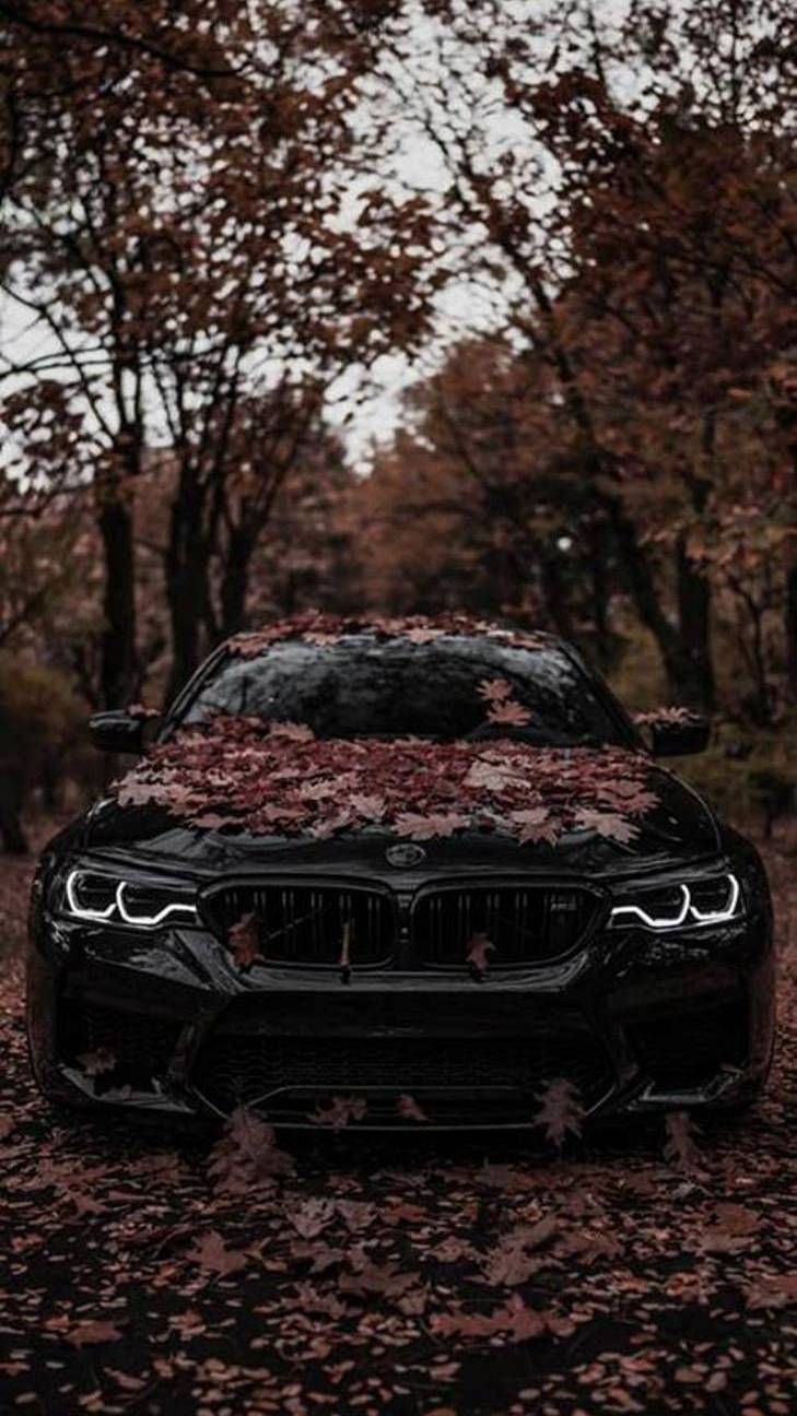 Bmw M5 Black iPhone Wallpaper. Bmw, Bmw wallpaper, Car wallpaper