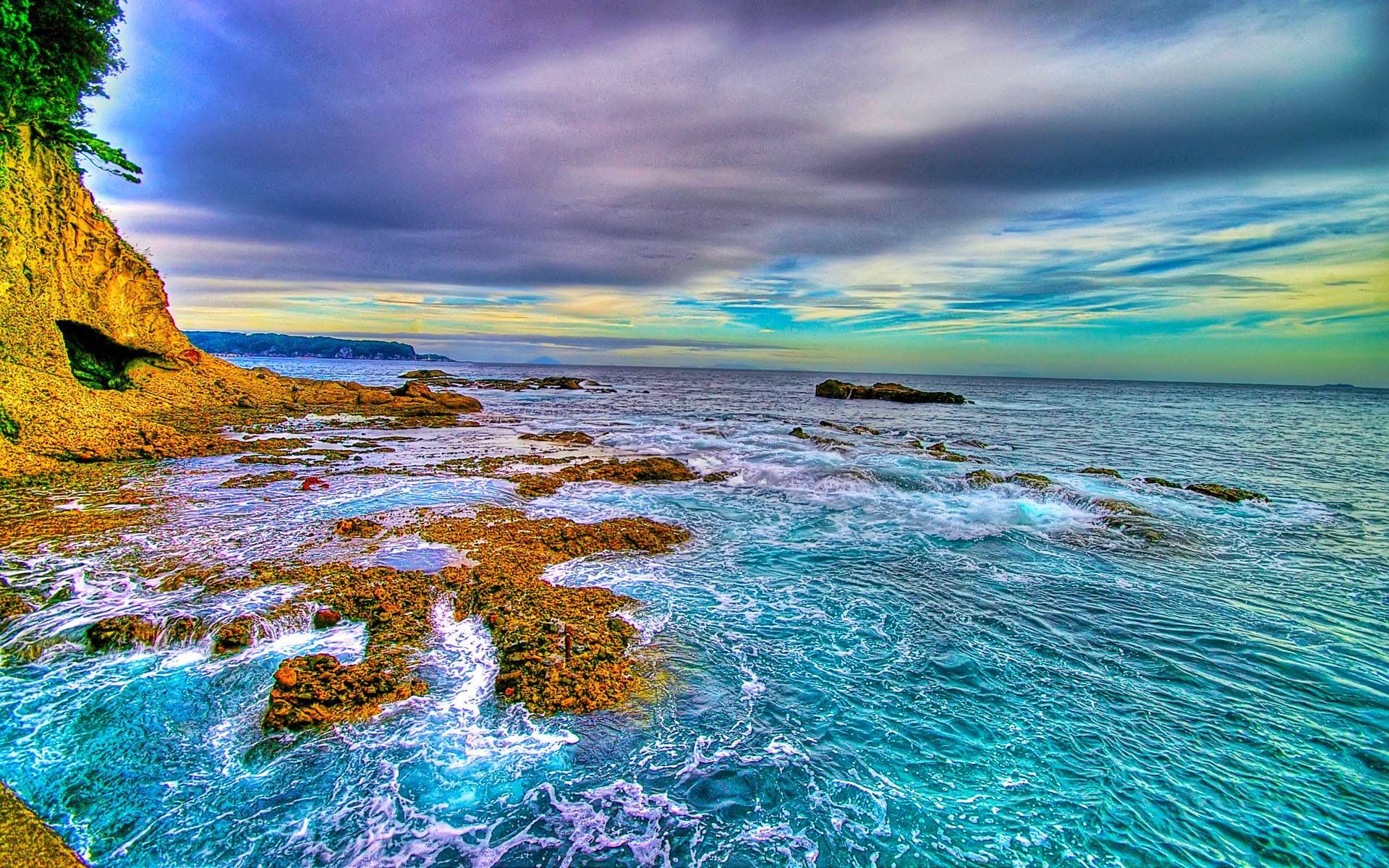 Coral Reef Desktop Background