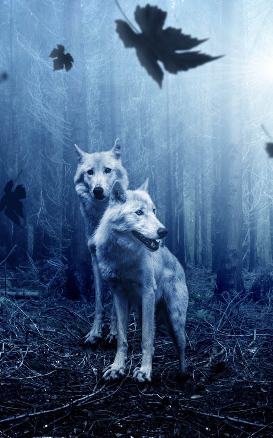 Wolves Night Forest 4K Ultra HD Mobile Wallpaper