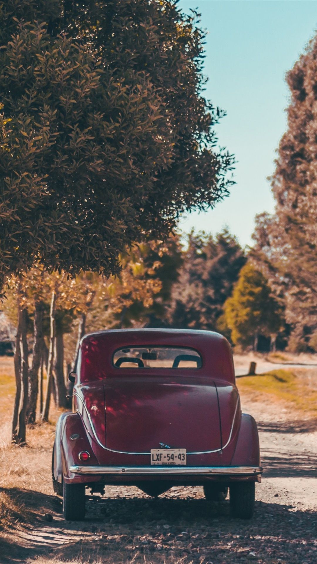 Red Retro Car Rear View, Man, Trees, Autumn 1080x1920 IPhone 8 7 6 6S Plus Wallpaper, Background, Picture, Image
