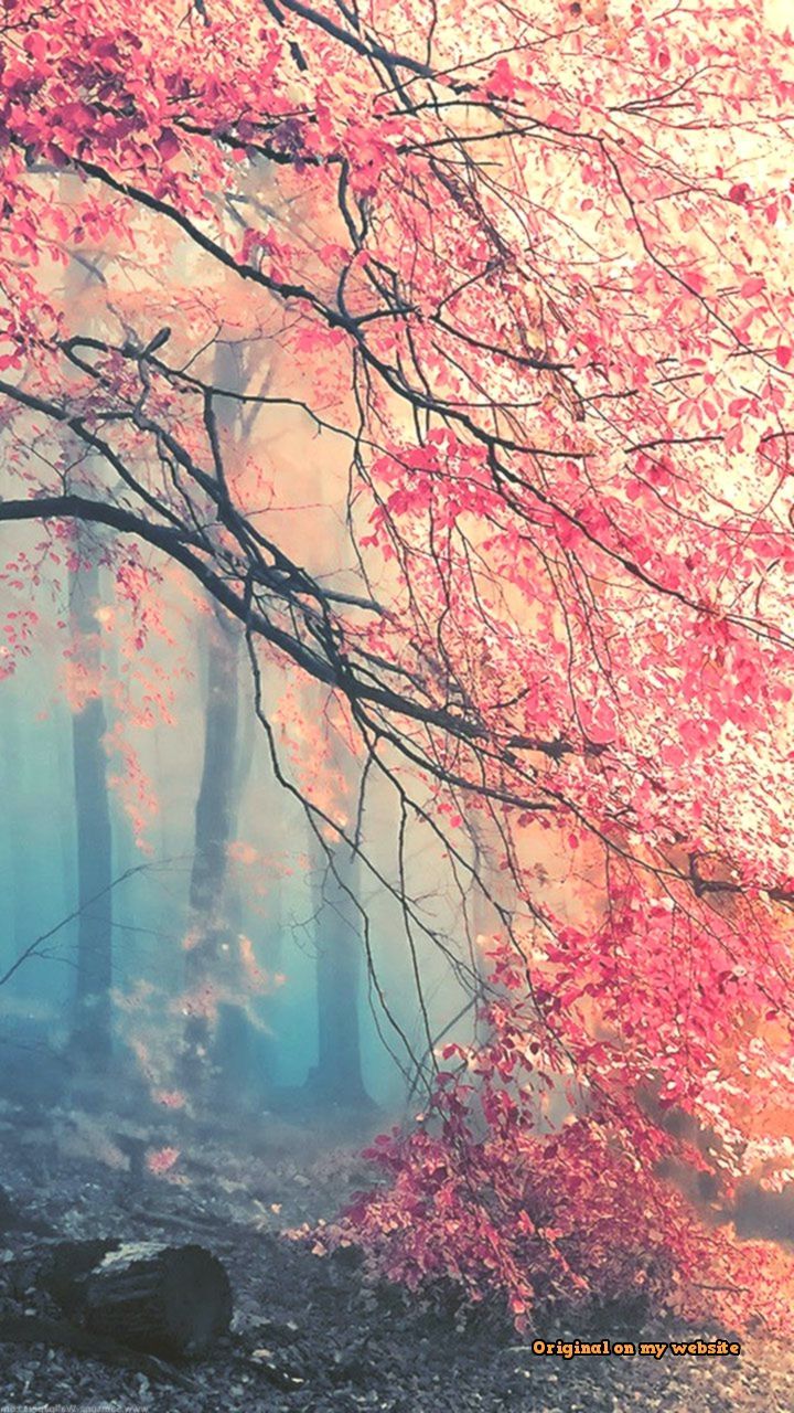 Wallpaper Samsung Vintage 7 Wallpaper Autumn, Download Wallpaper