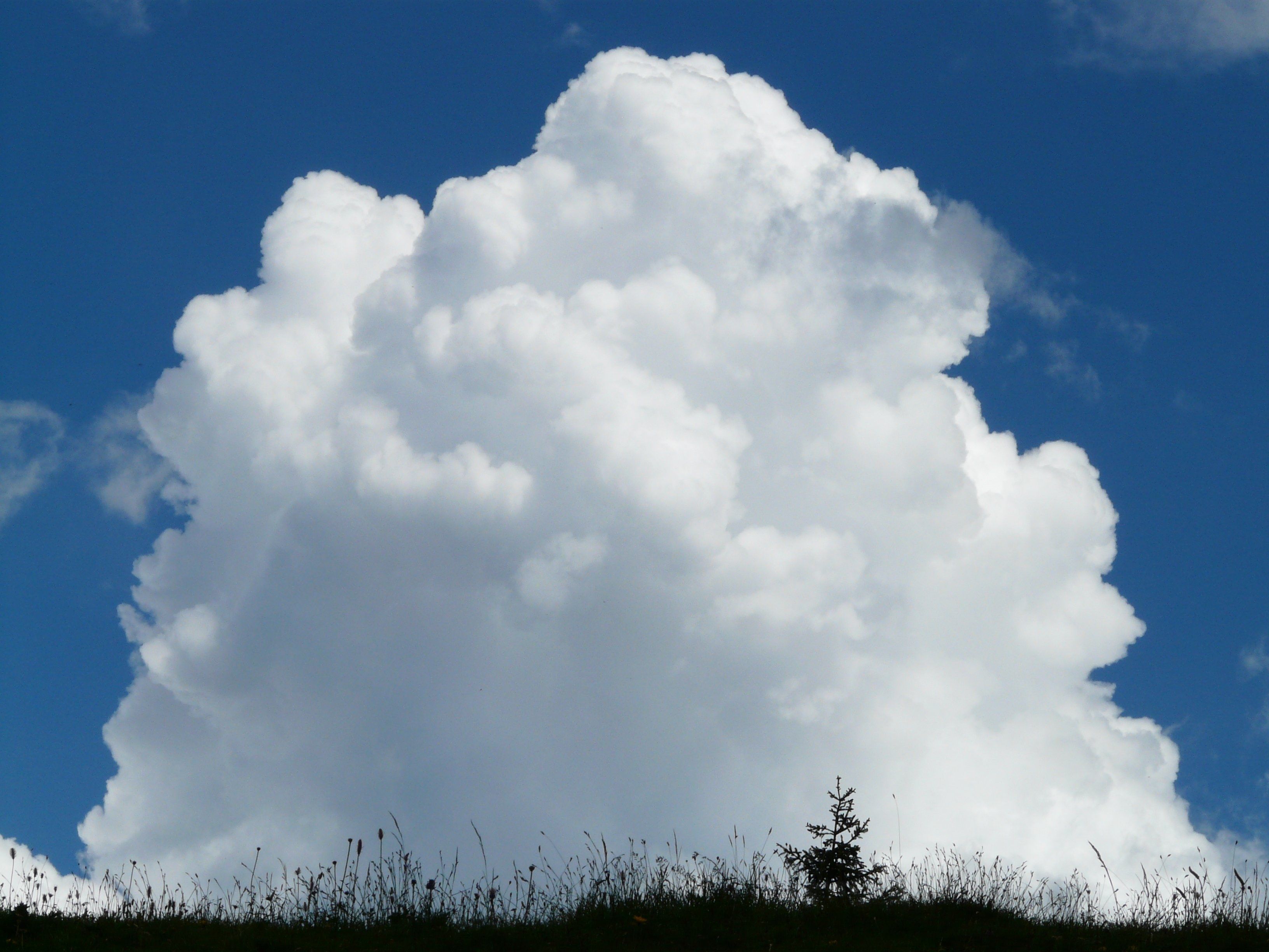 cloud #cumulus clouds #cumulus #thunderstorm #sky #blue wallpaper and background