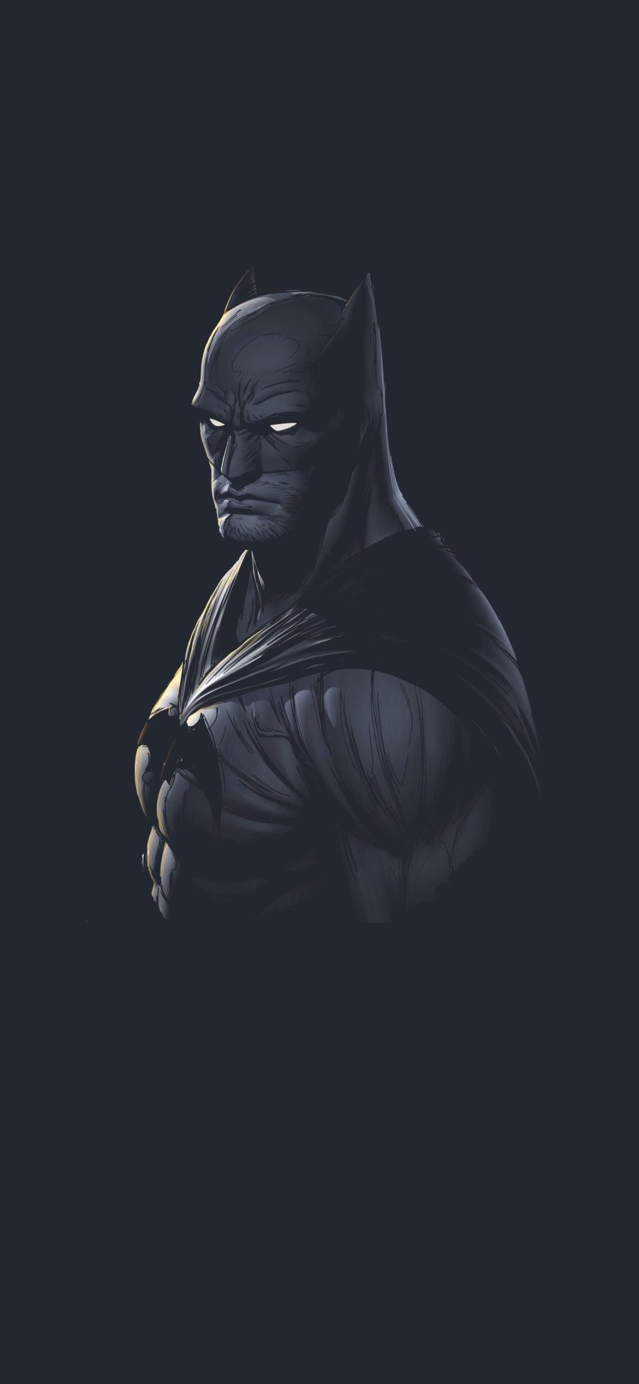 Download Snowy The Batman Iphone Wallpaper