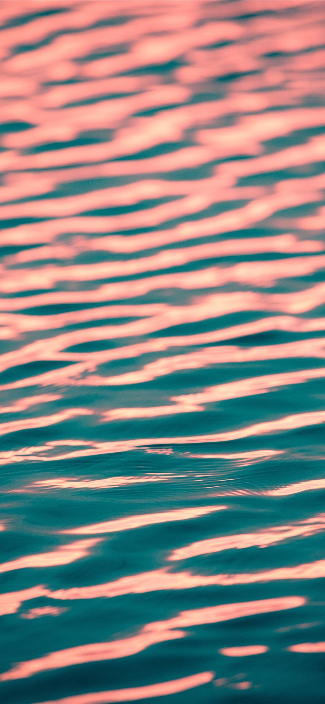 close up photo of calm body of w Wallpaper. iPhone 6 plus wallpaper, Wallpaper, Close up photo