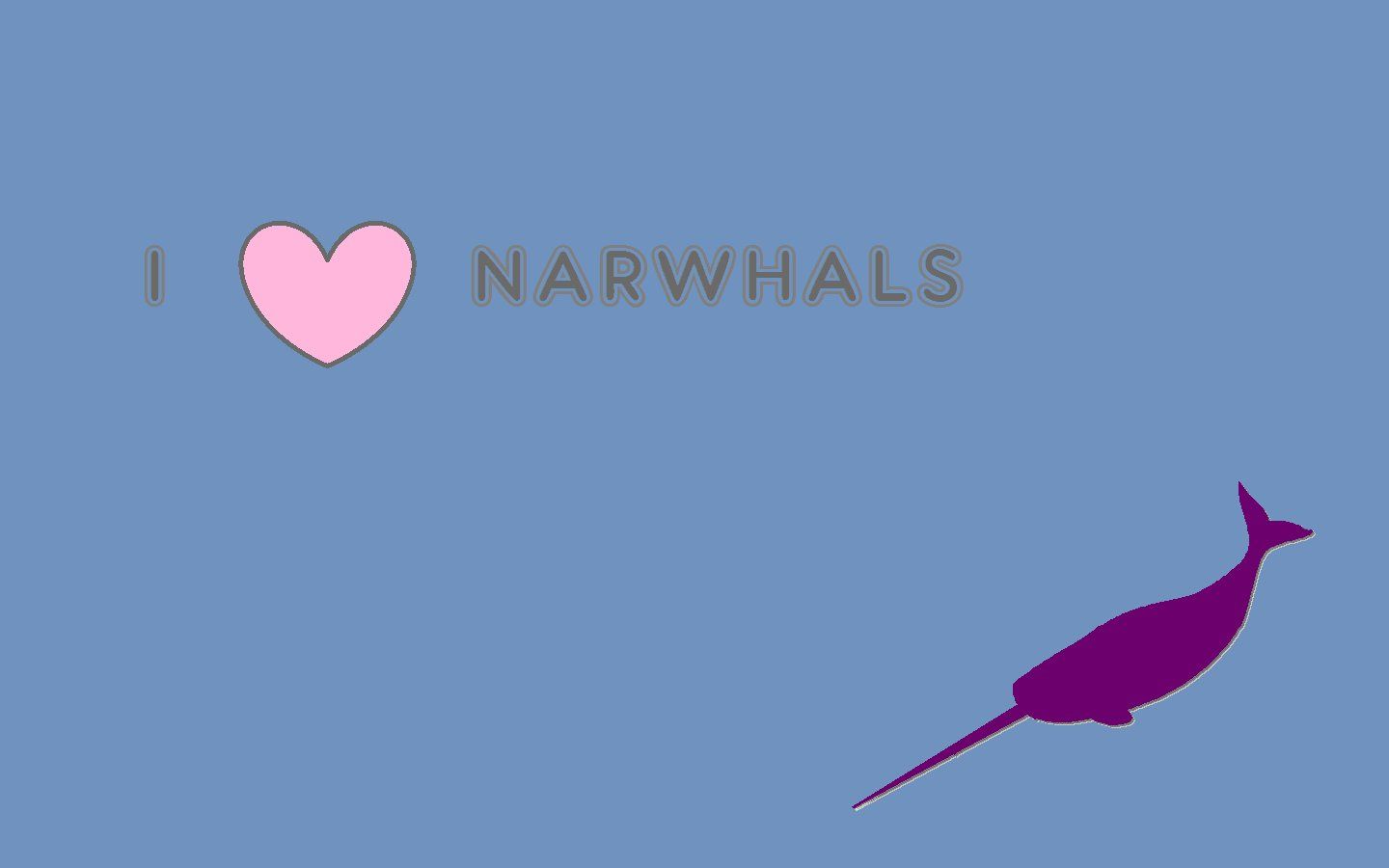 EVC:58 Definition Awesome Narwhal Image Collection