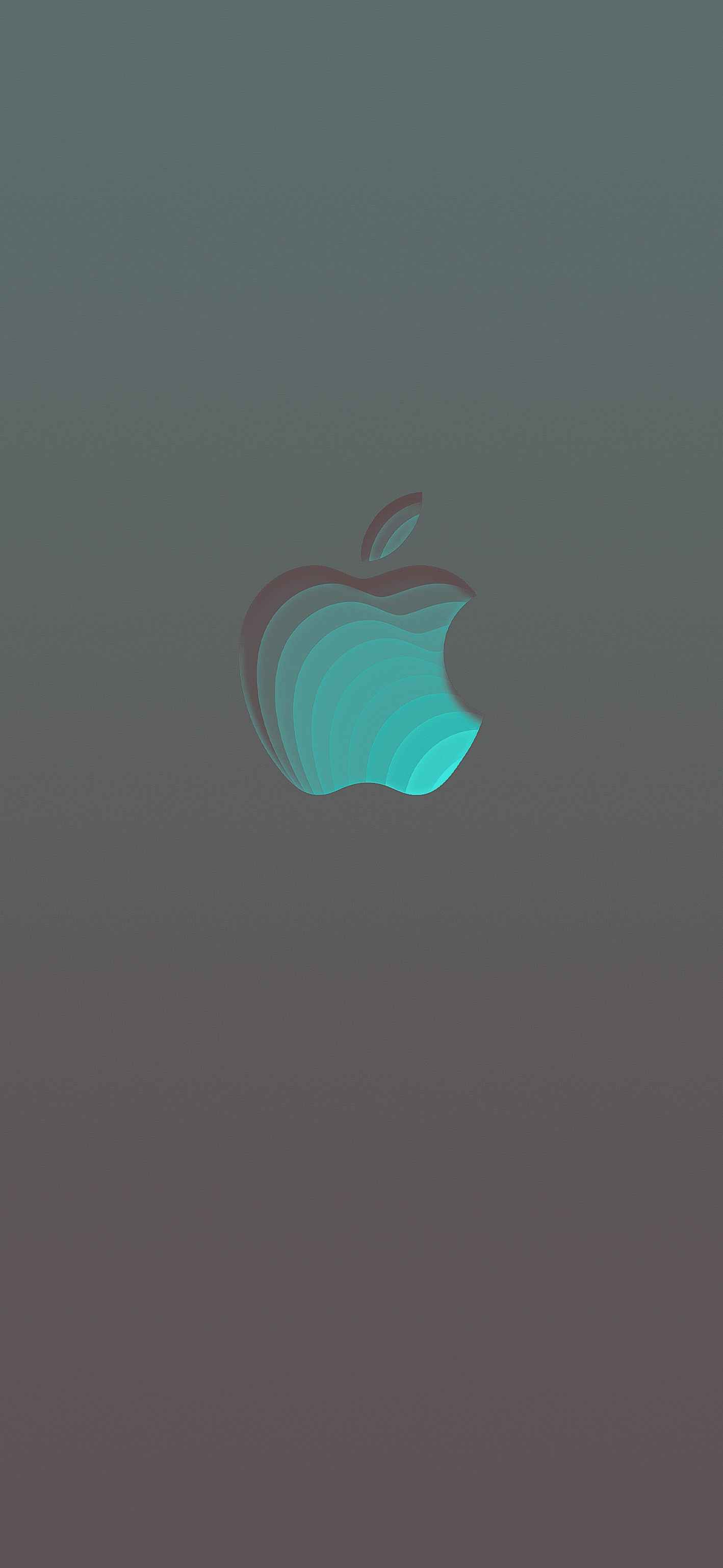 iOS13 #iphonewallpaper #apple #logo #colorful #darkmode. Apple logo wallpaper iphone, Apple logo wallpaper, Apple iphone wallpaper hd