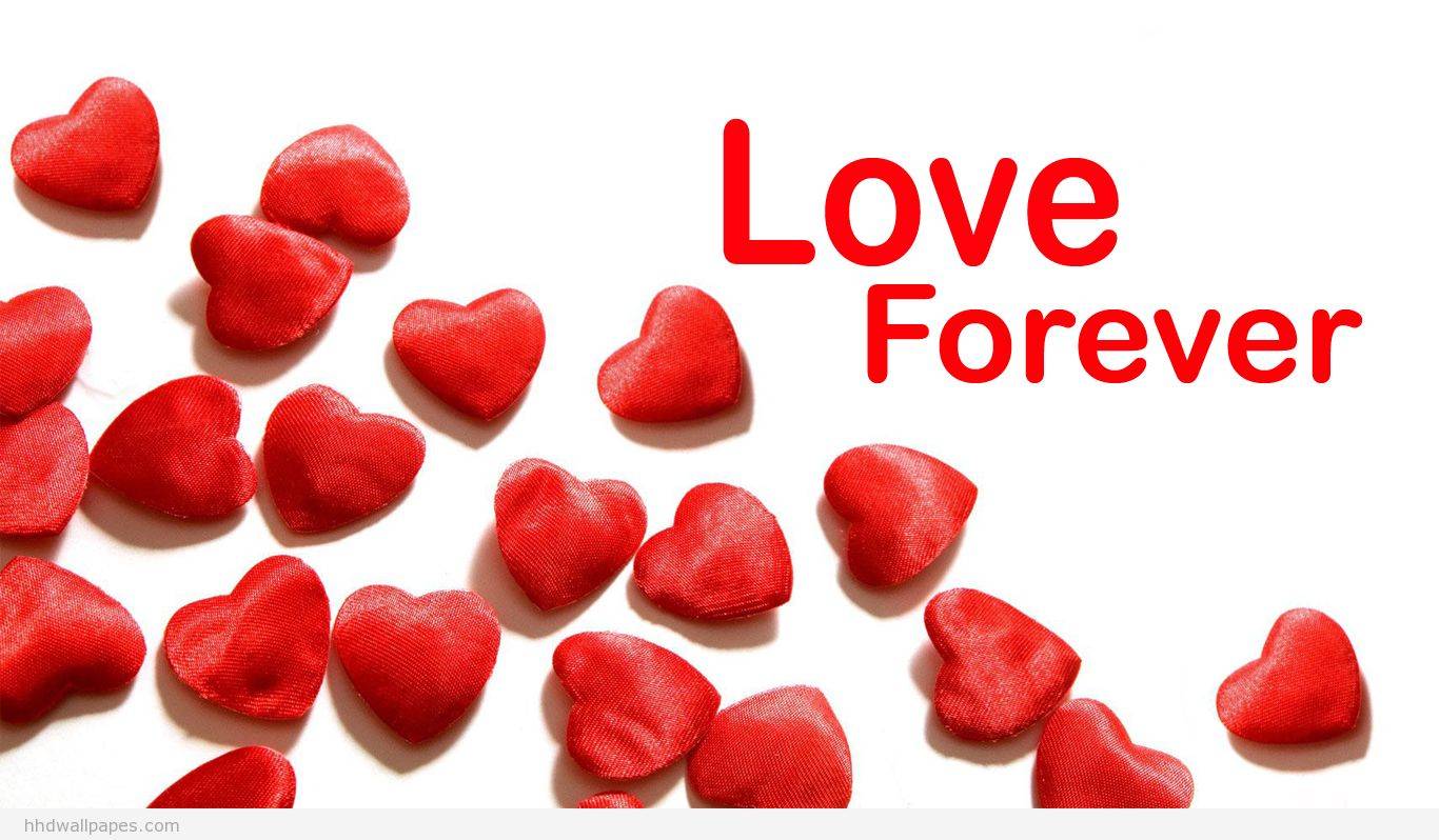 Free download love forever Love Wallpaper [1366x798] for your Desktop, Mobile & Tablet. Explore Image Of Love Wallpaper. Heart Love Wallpaper Image, Best Love Wallpaper, Love Desktop Wallpaper