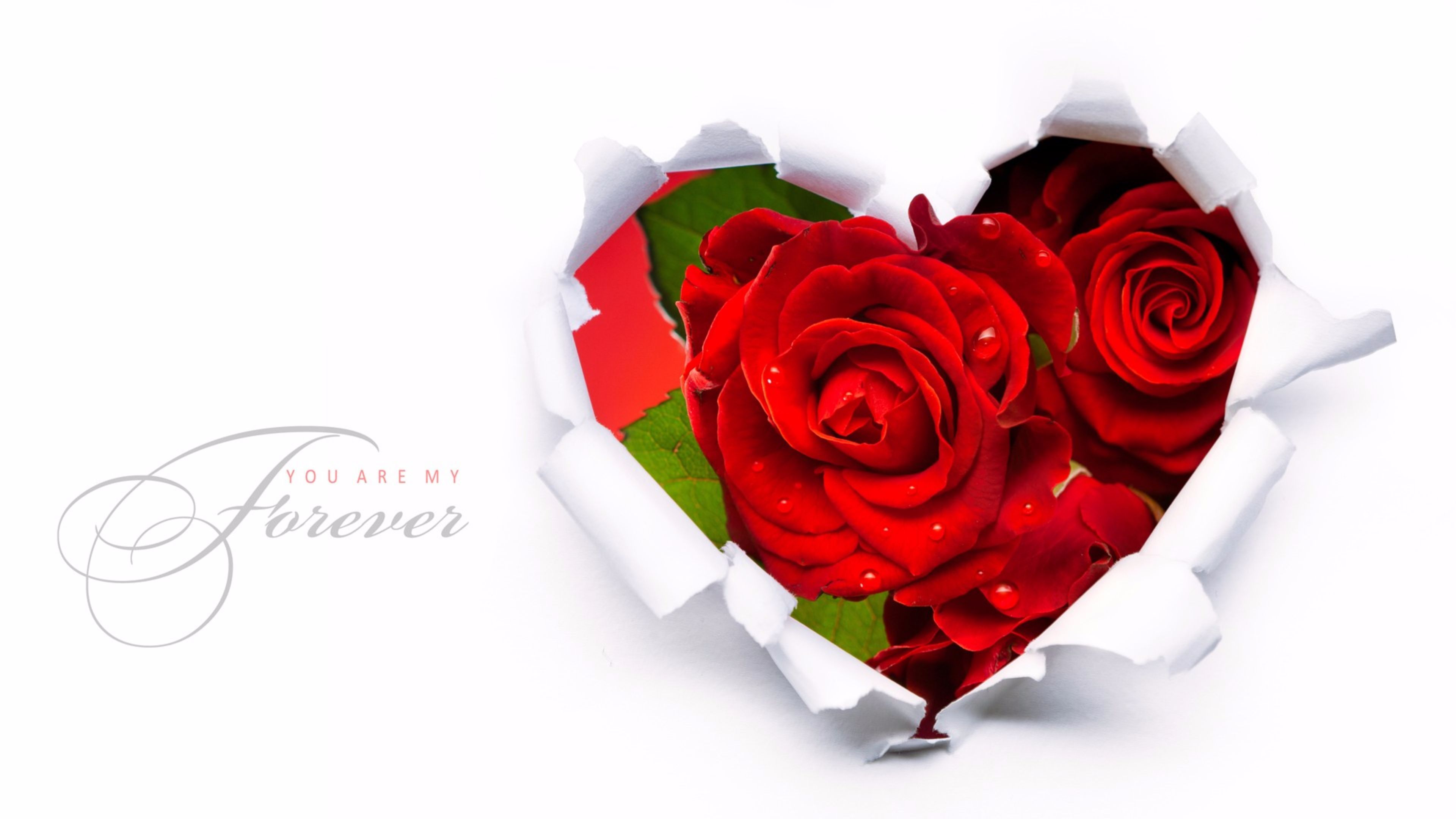 Forever 4K wallpaper for your desktop or mobile screen free and easy to download