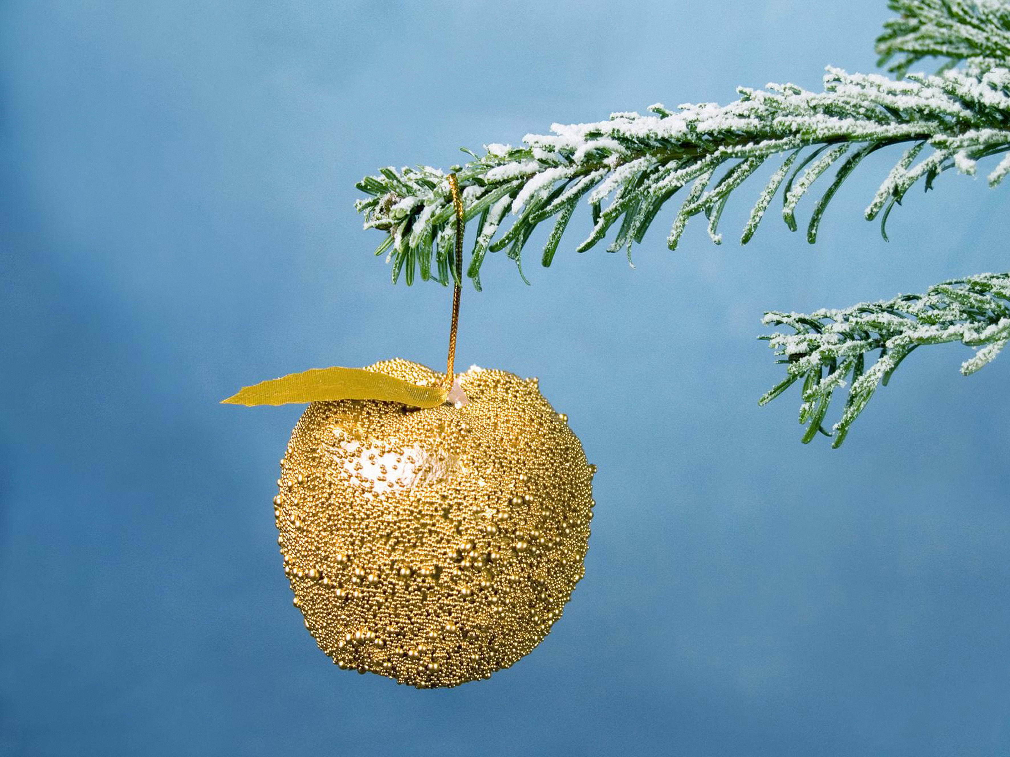 Golden Apple on the tree wallpaper and image, picture, photo
