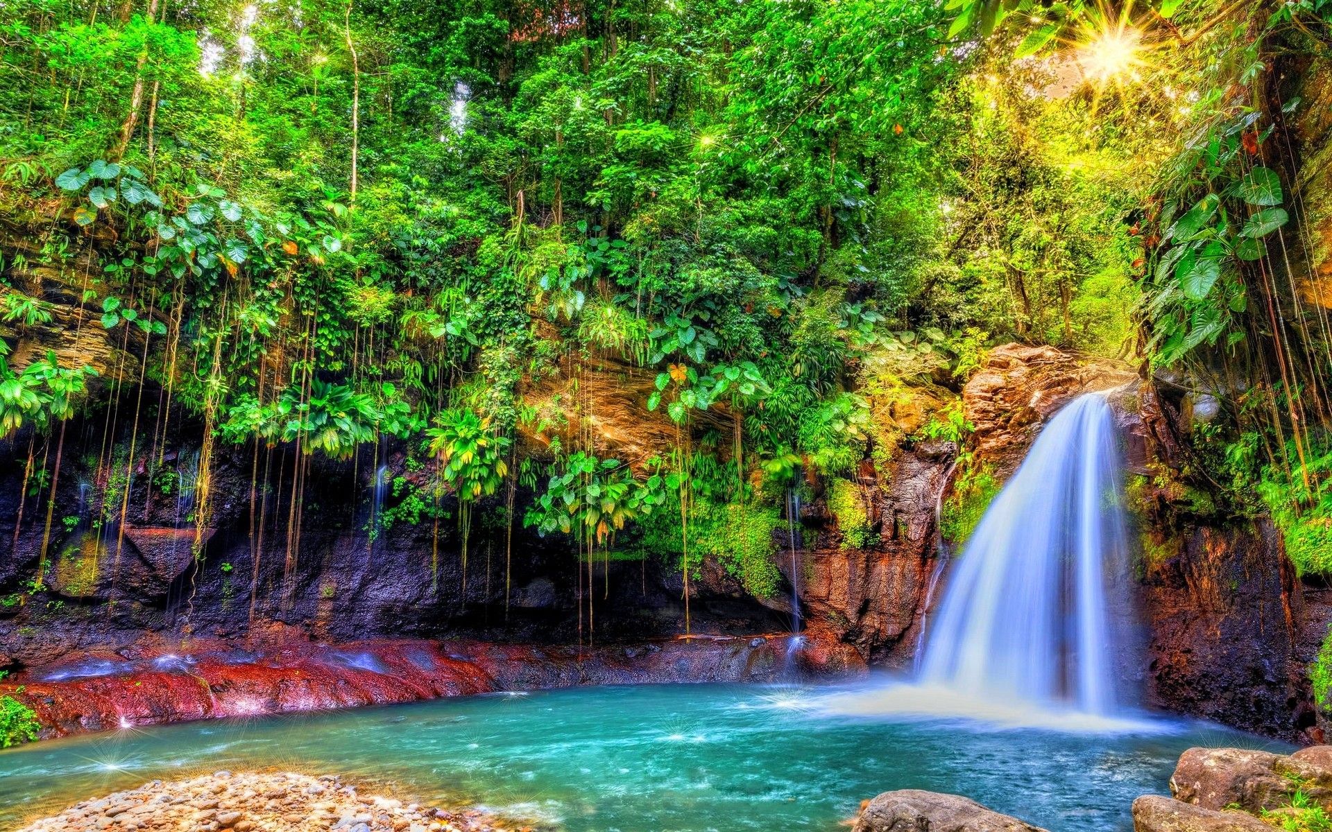 Waterfall in the jungle island of Guadeloupe wallpaper and image, picture, photo