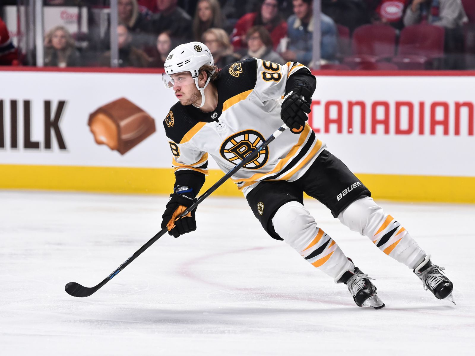 Boston Bruins: David Pastrnak hasn't missed a step