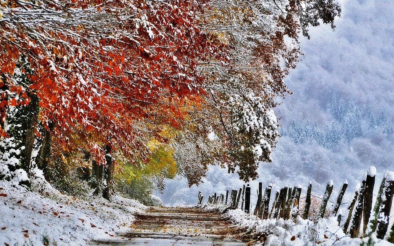 First Snow Wallpaper, Image, Photo, Picture & Pics. Wallpaper gallery, Cool paintings, Background HD wallpaper